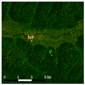 Forests 12 01374 i001