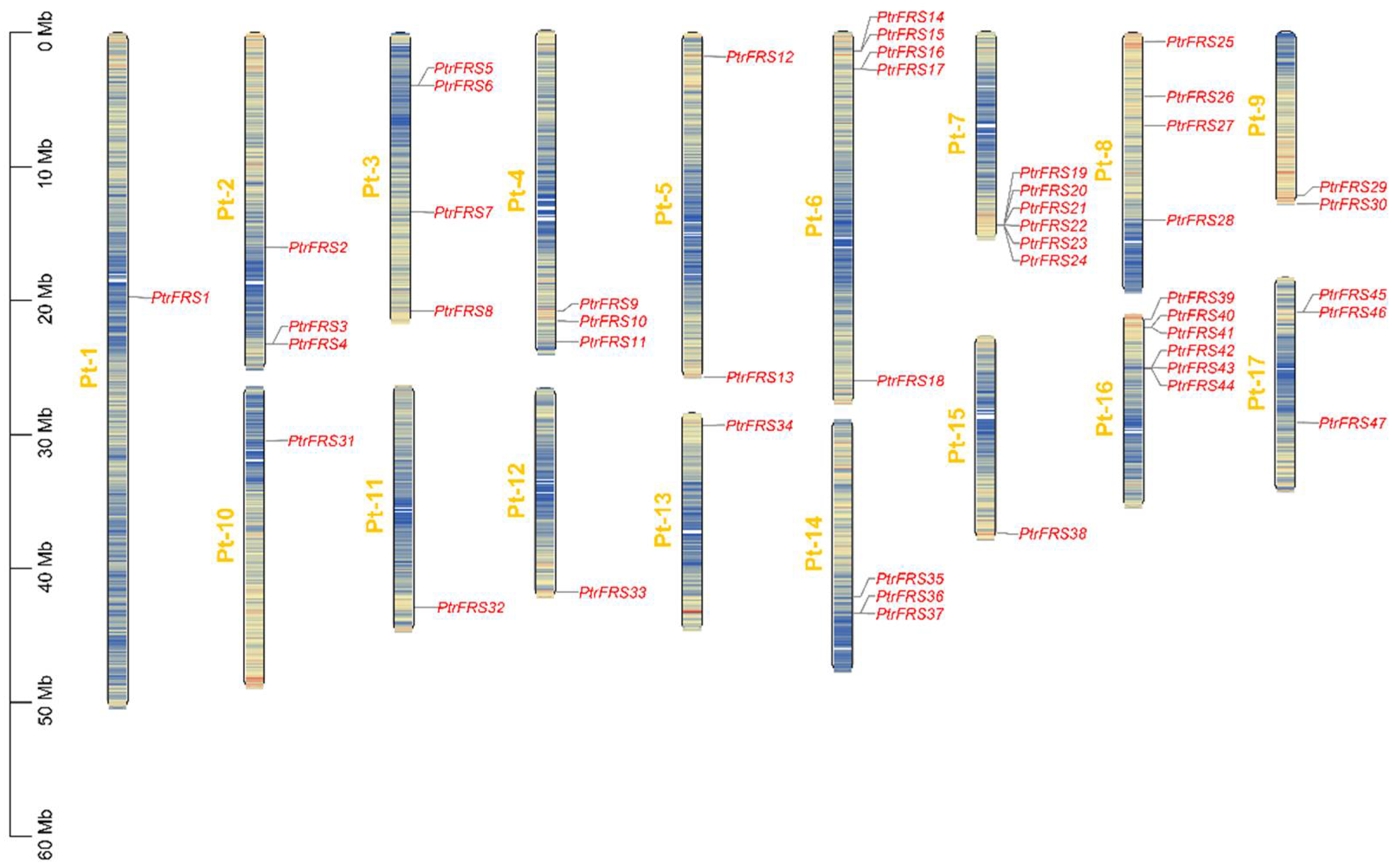 Forests 12 01385 g001