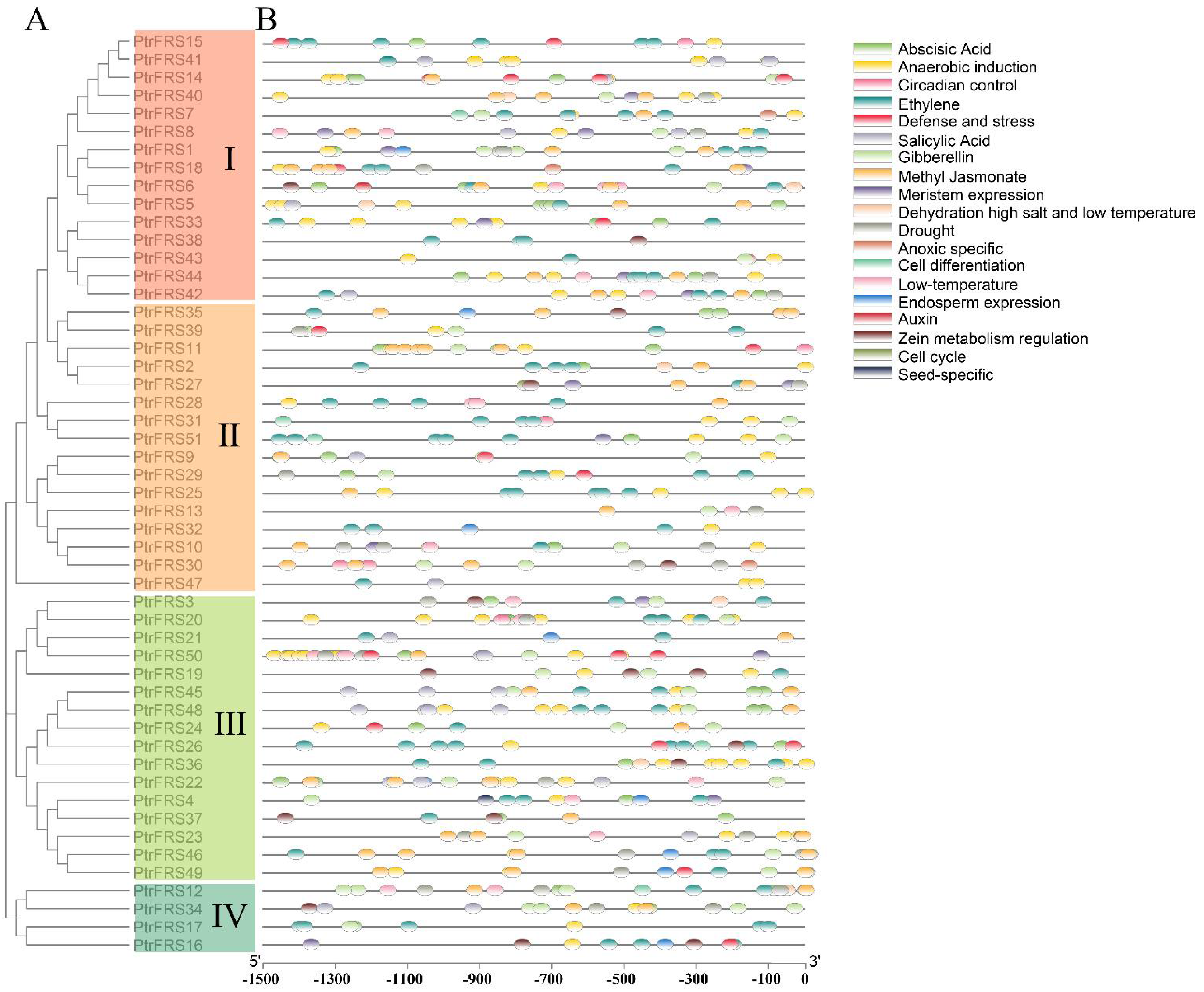 Forests 12 01385 g003