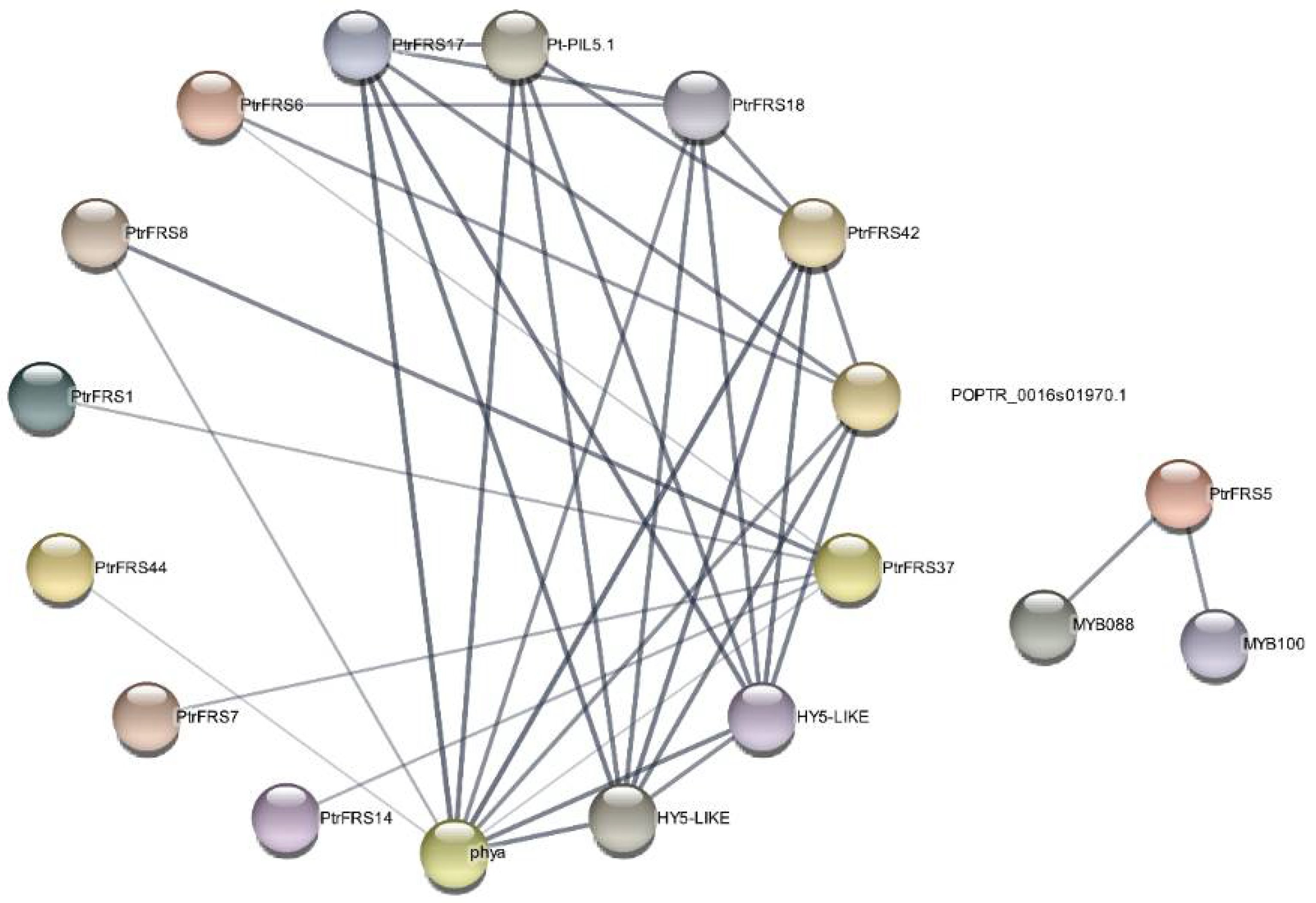 Forests 12 01385 g005
