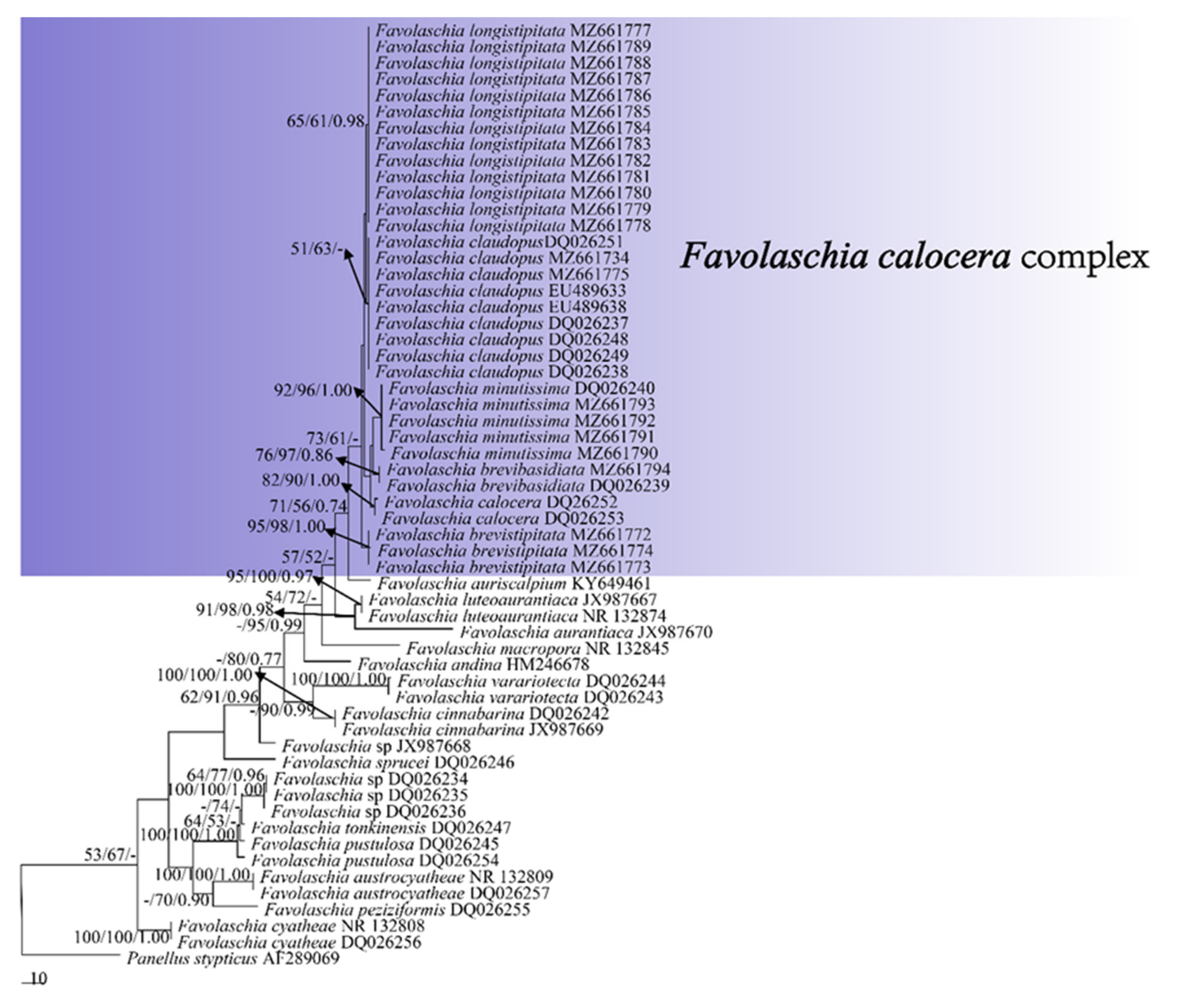 Forests 12 01397 g001