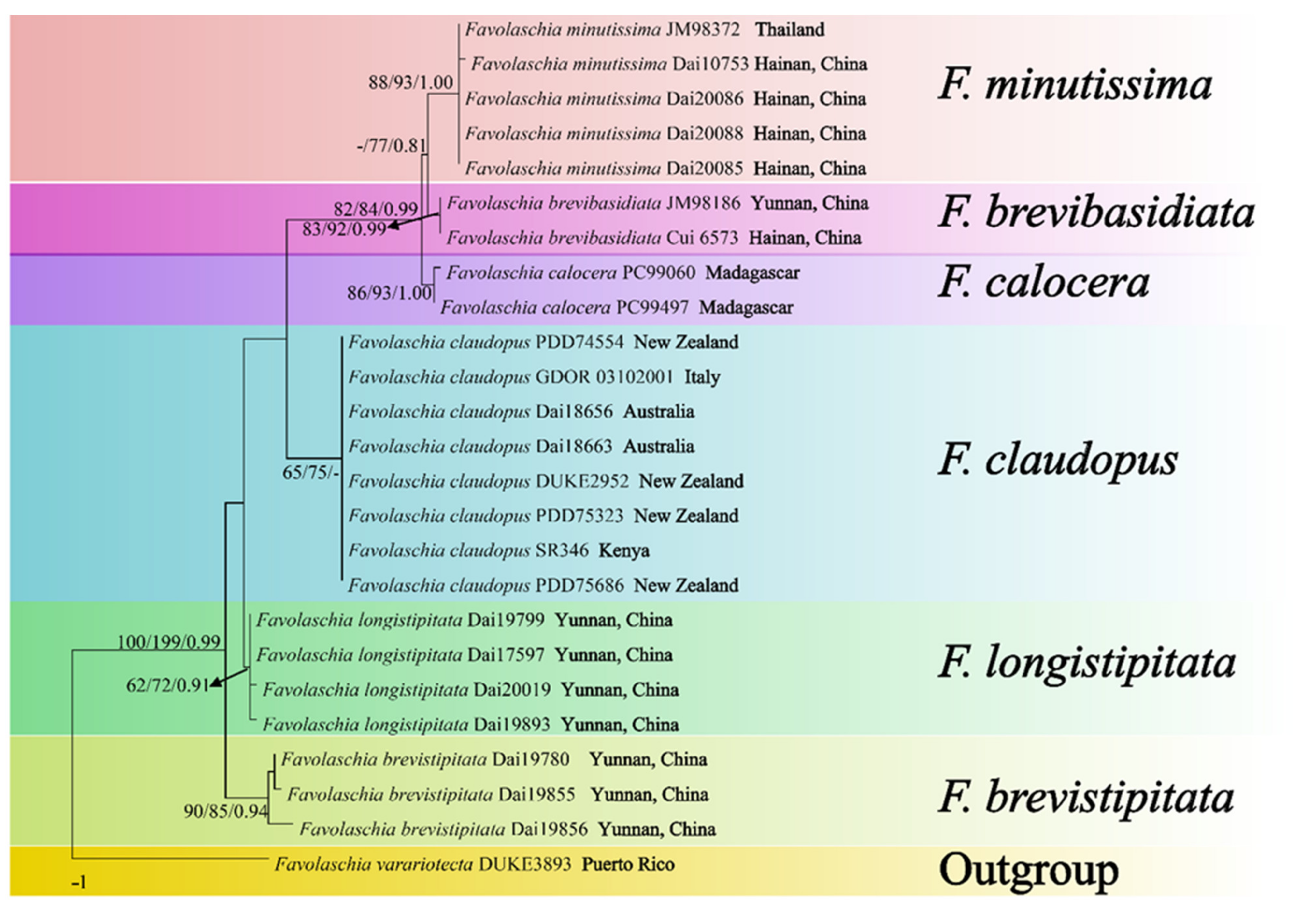 Forests 12 01397 g002
