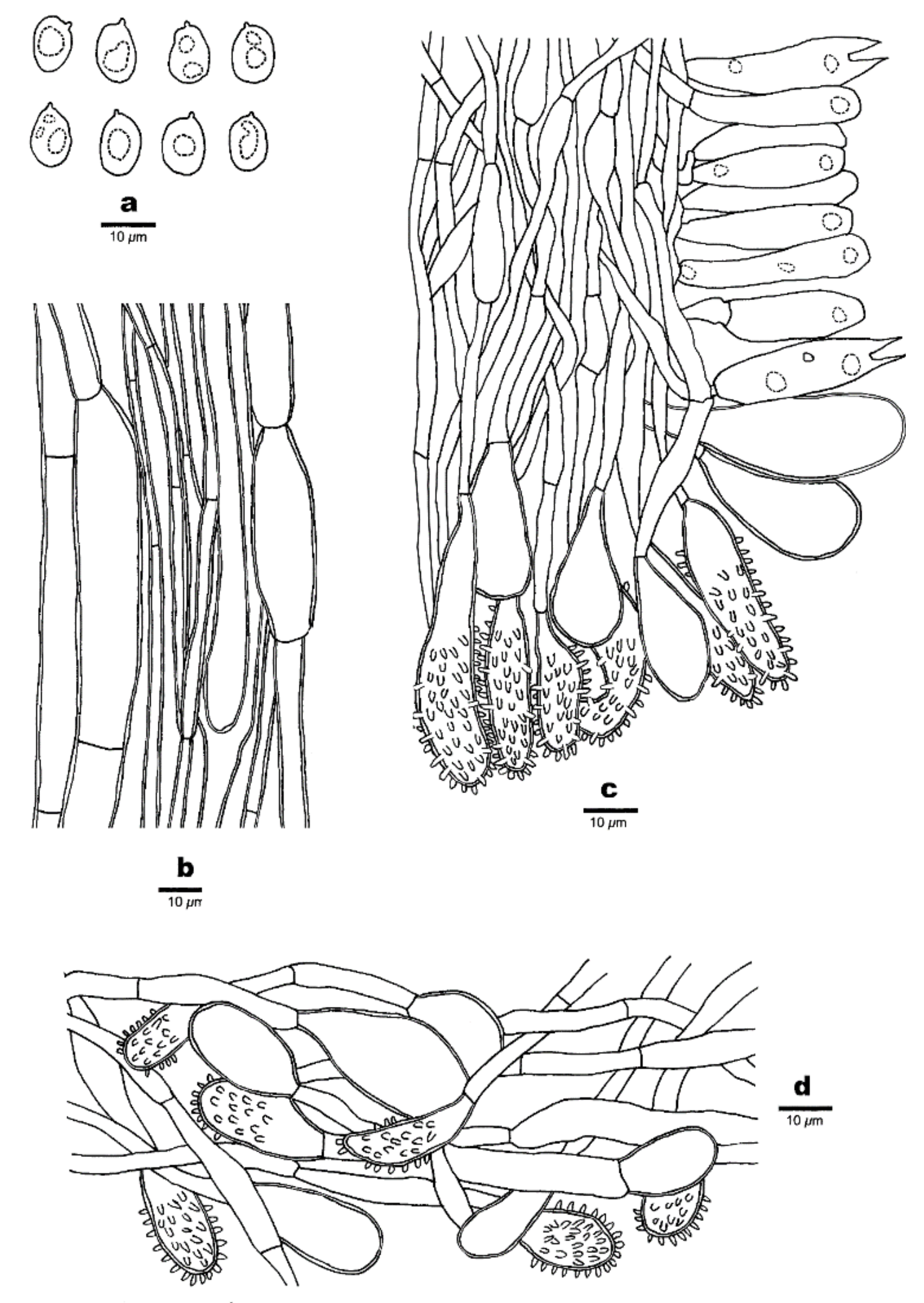 Forests 12 01397 g004