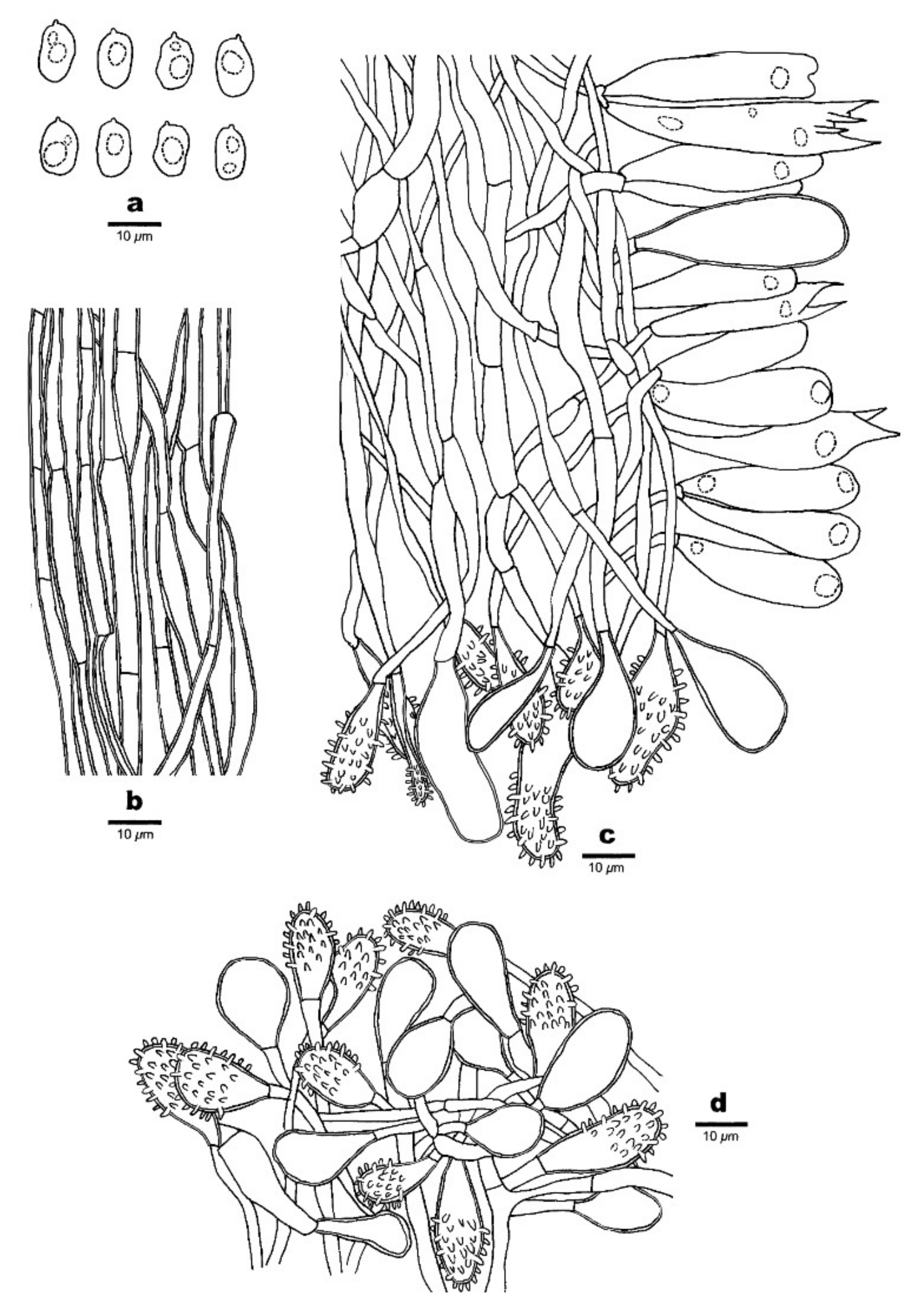 Forests 12 01397 g009