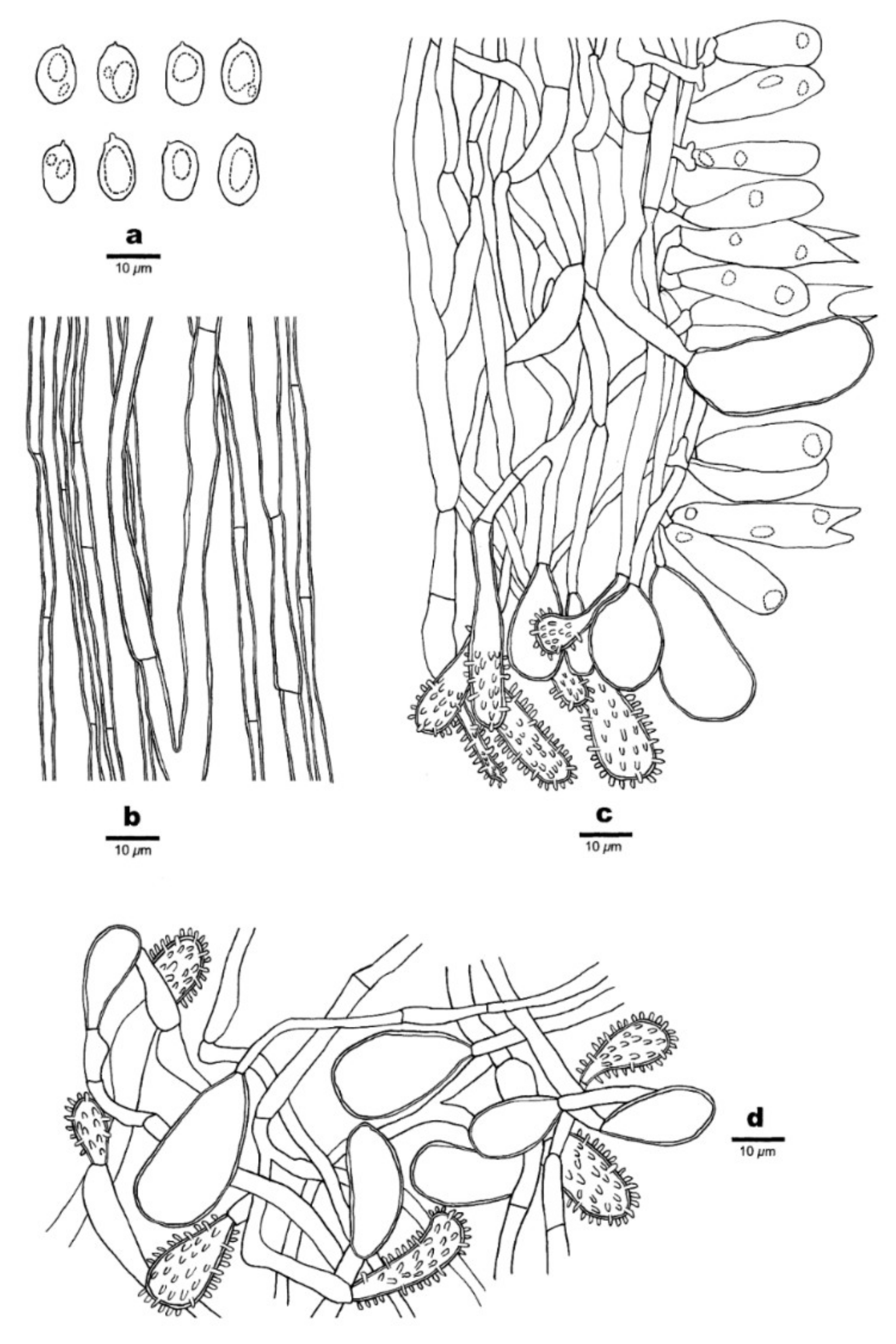 Forests 12 01397 g012