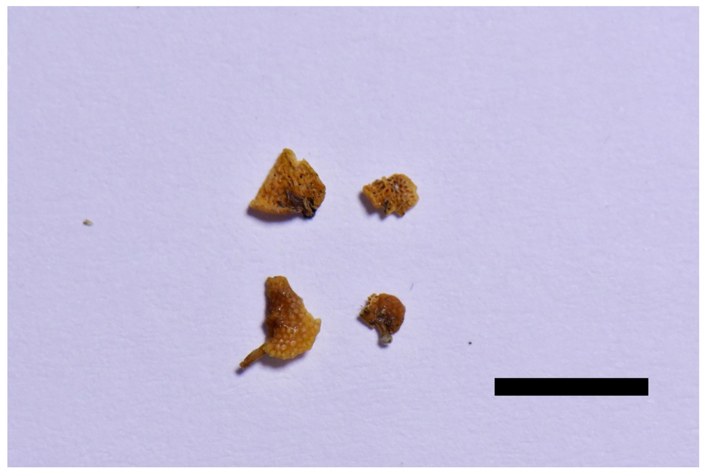 Forests 12 01397 g014