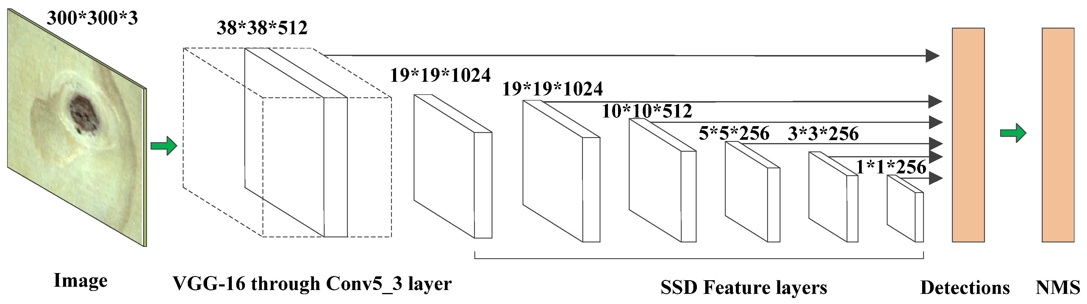 Forests 12 01419 g005
