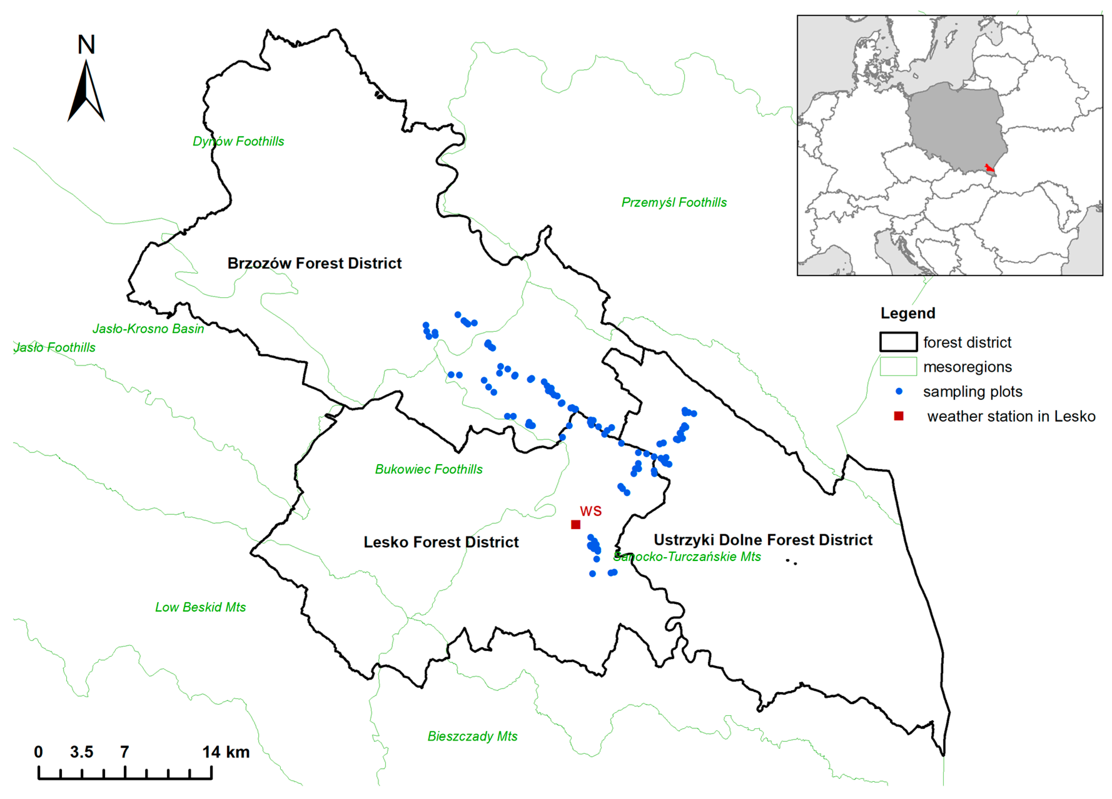 Forests | Free Full-Text | Climate and Management Factors Underlying  Changes in Beech Forest Herbaceous Layer Plant Communities in the Polish  Eastern Carpathians