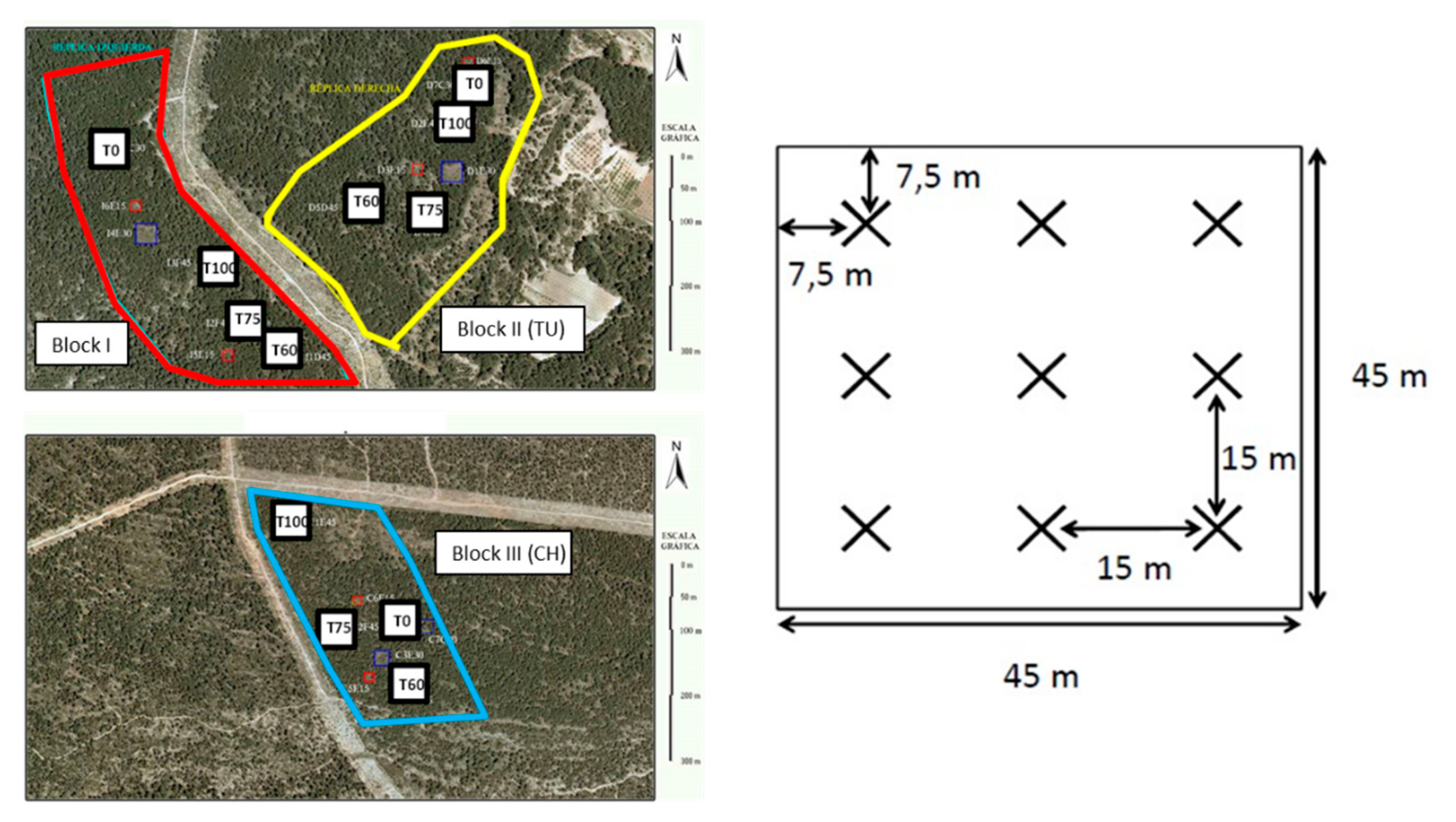 Forests | Free Full-Text | Mid-Term Effects of Forest Thinning on N  Mineralization in a Semi-Arid Aleppo Pine Forest