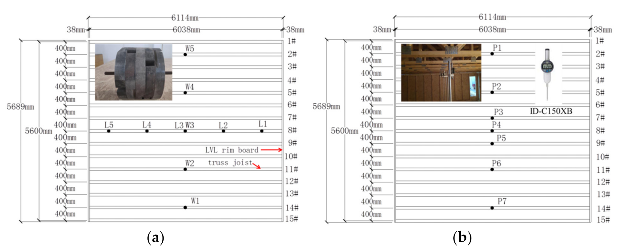 Forests 12 01493 g005