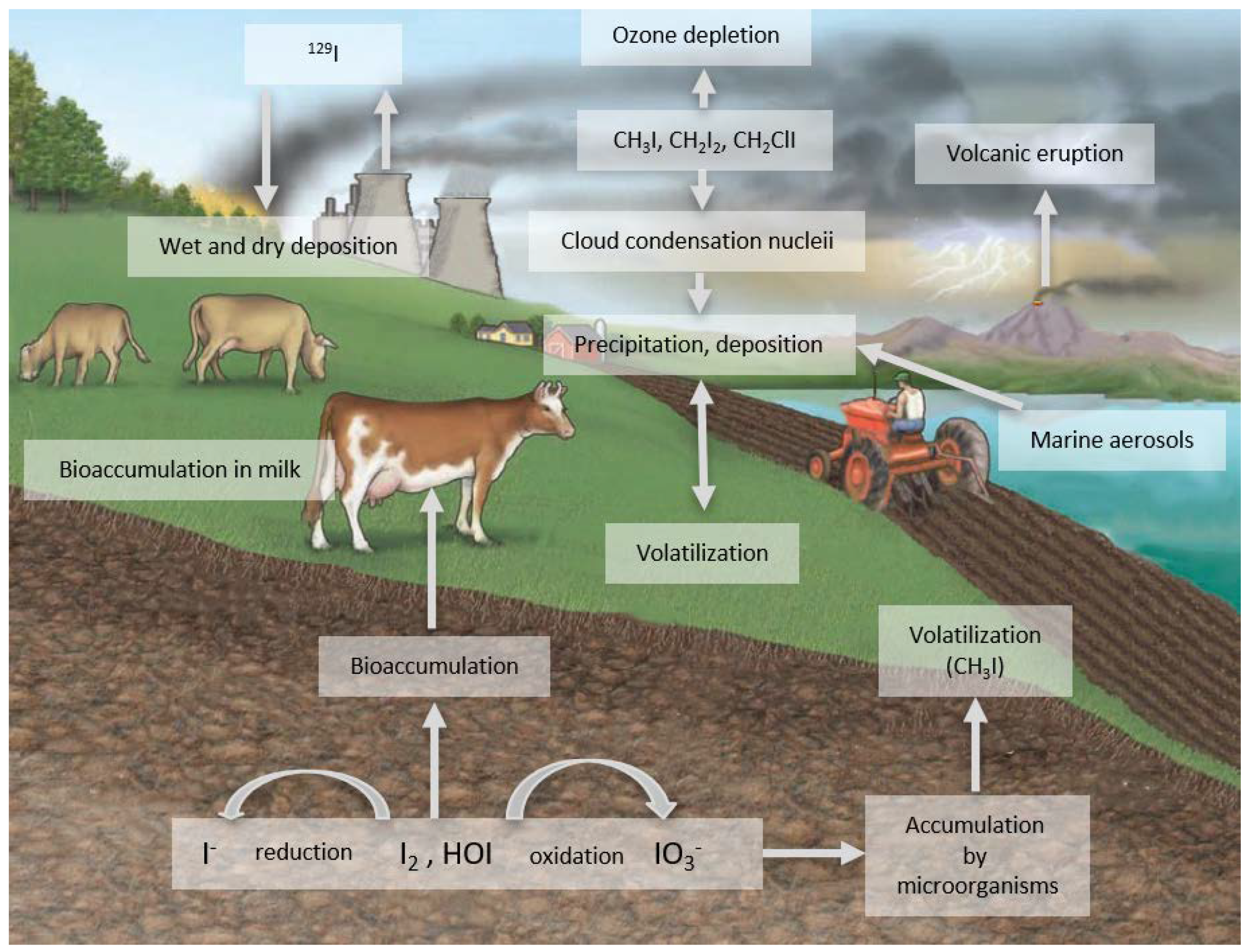 Forests 12 01512 g001