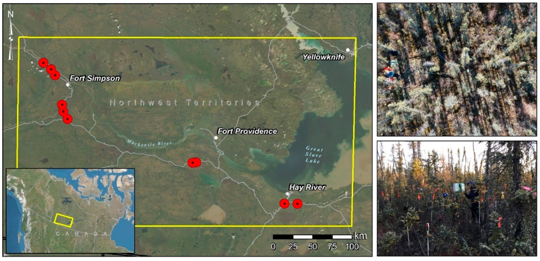Forests | Free Full-Text | Using TLS-Measured Tree Attributes to Estimate  Aboveground Biomass in Small Black Spruce Trees | HTML