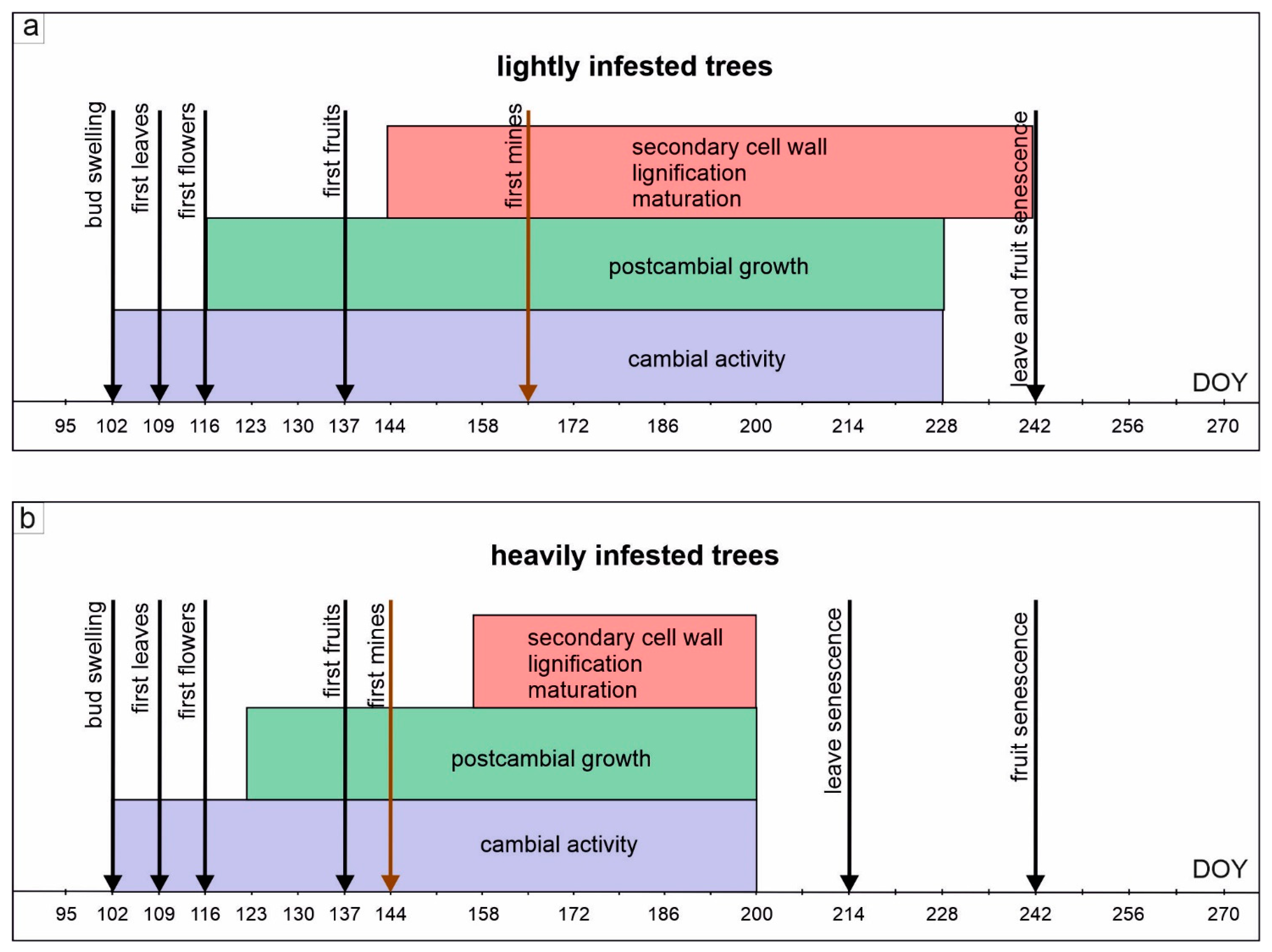 Forests 12 01537 g004