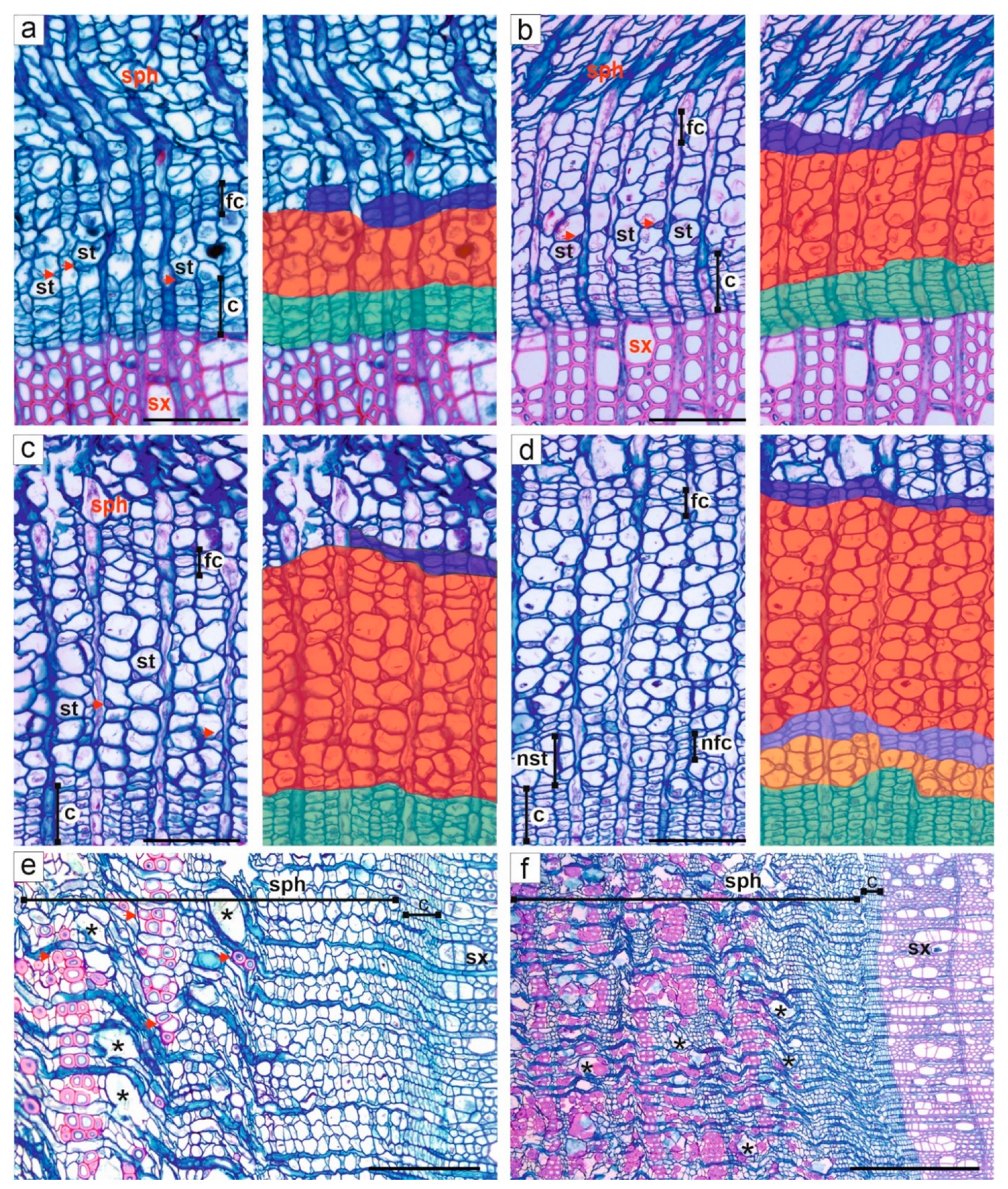 Forests 12 01537 g006