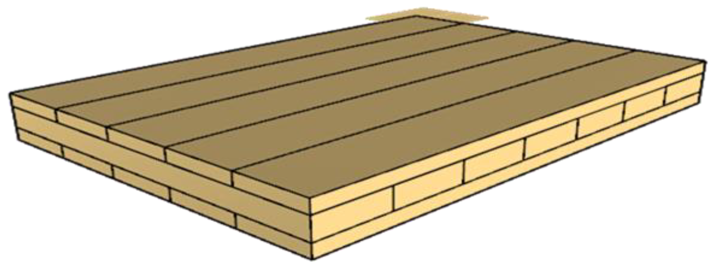 Forests 12 01571 g001