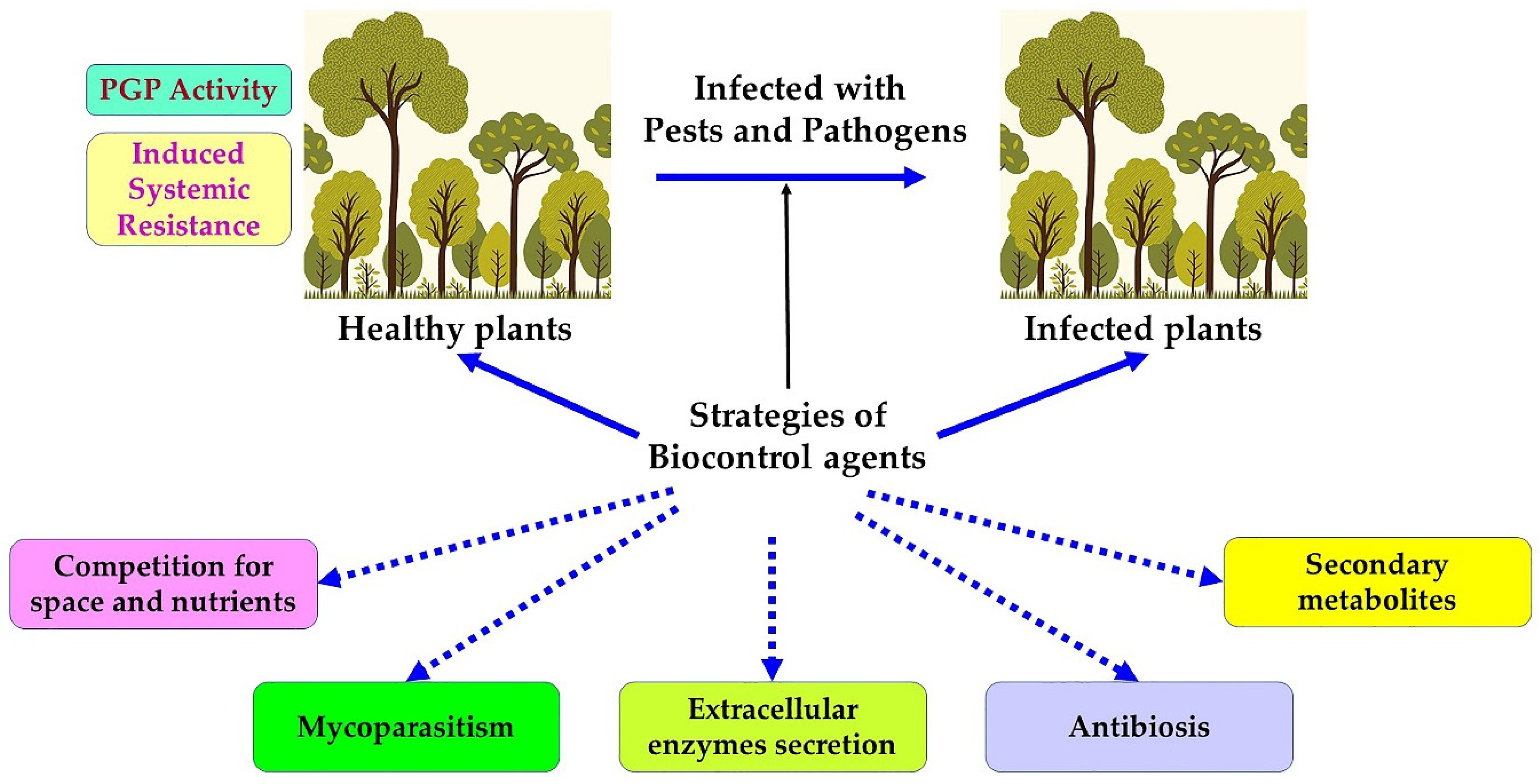 Forests | Free Full-Text | The Threat of Pests and Pathogens and the  Potential for Biological Control in Forest Ecosystems
