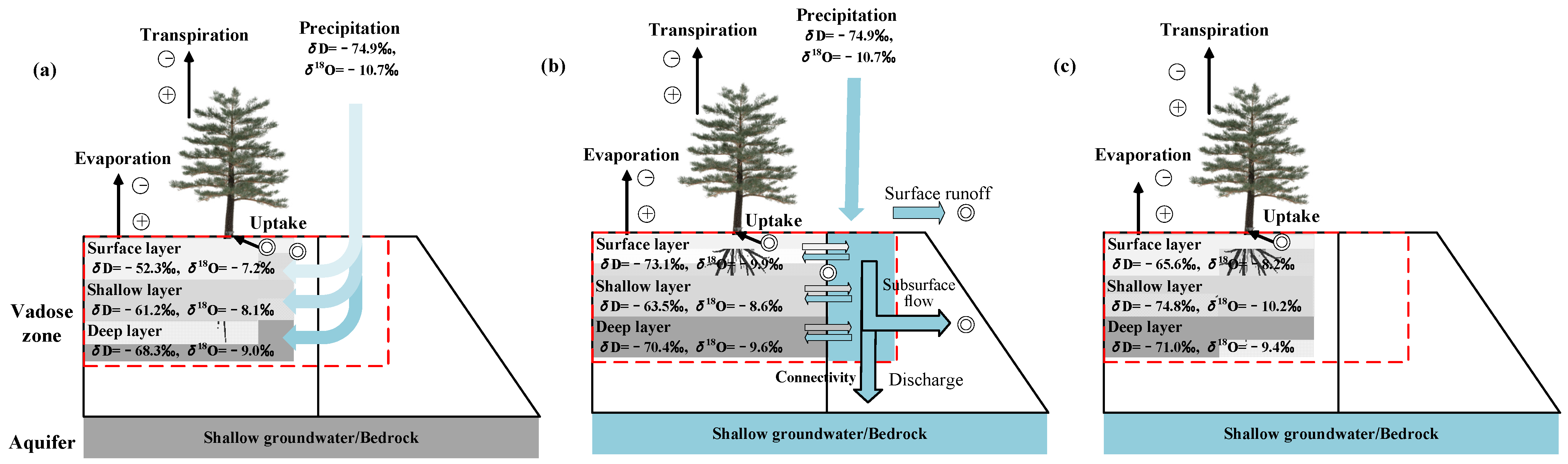 Forests | Free Full-Text | Soil Water Stable Isotopes Reveal Surface Soil  Evaporation Loss Dynamics in a Subtropical Forest Plantation | HTML
