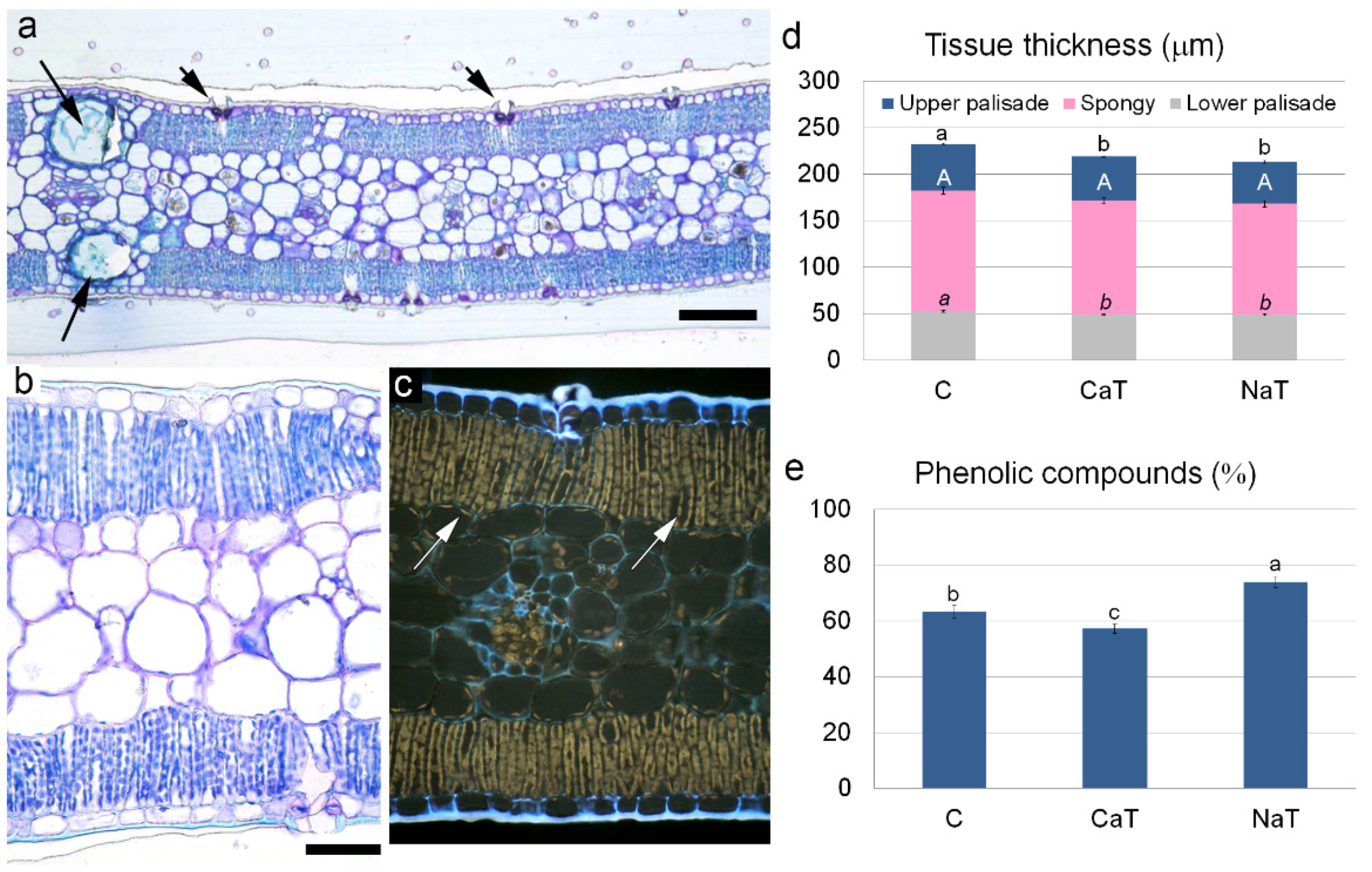 Forests 12 01666 g001