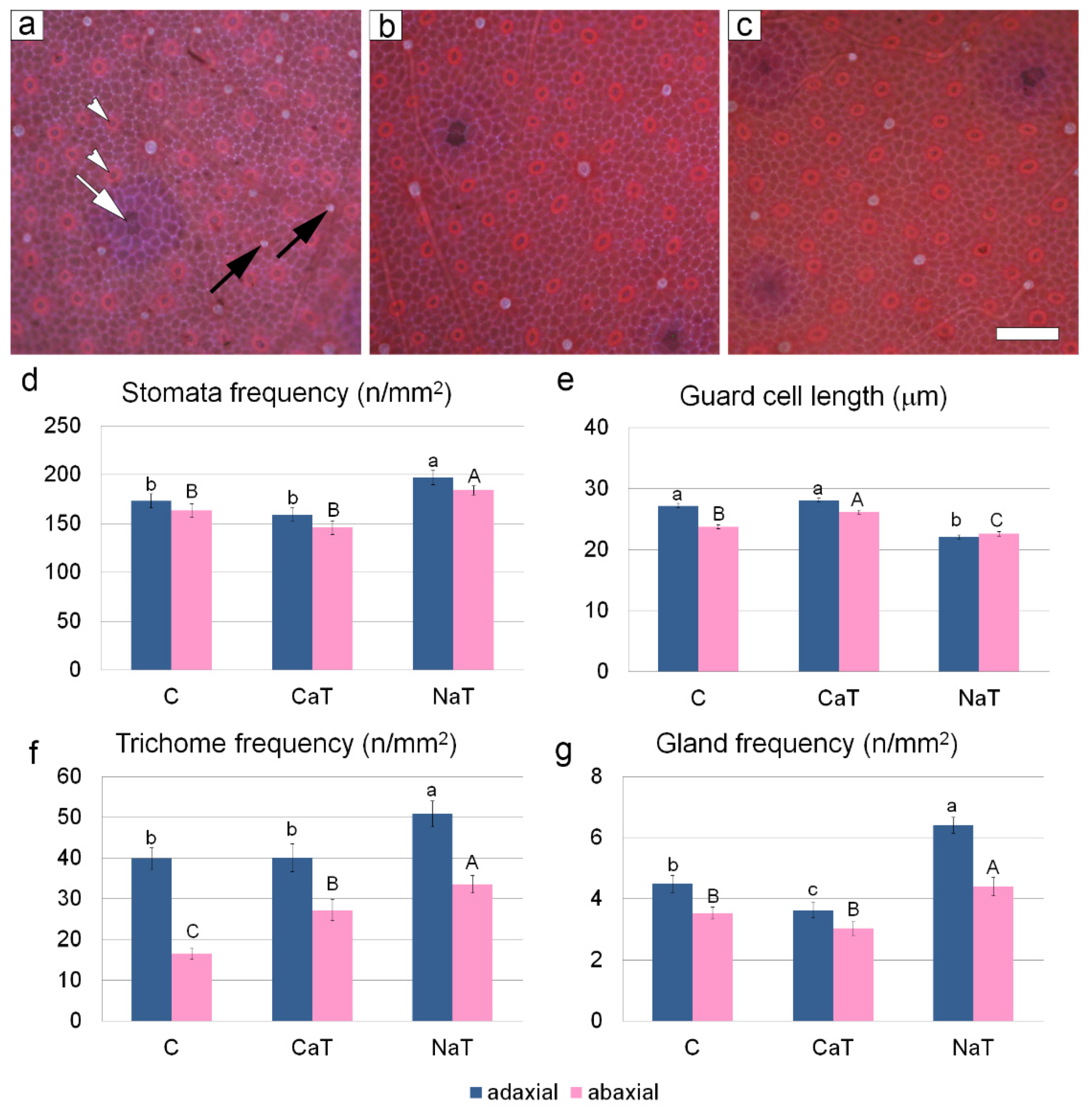 Forests 12 01666 g002