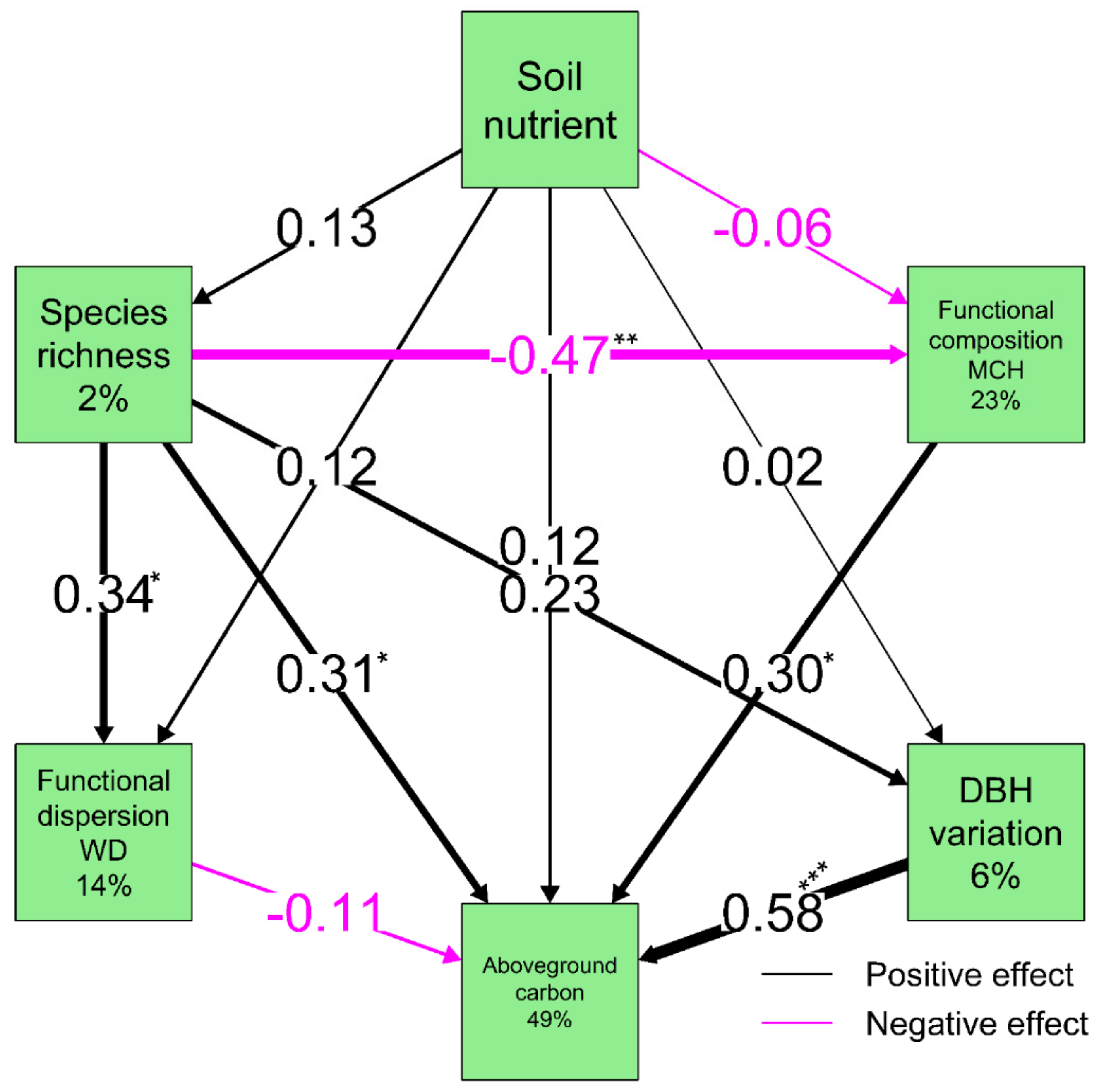 Forests 12 01669 g003