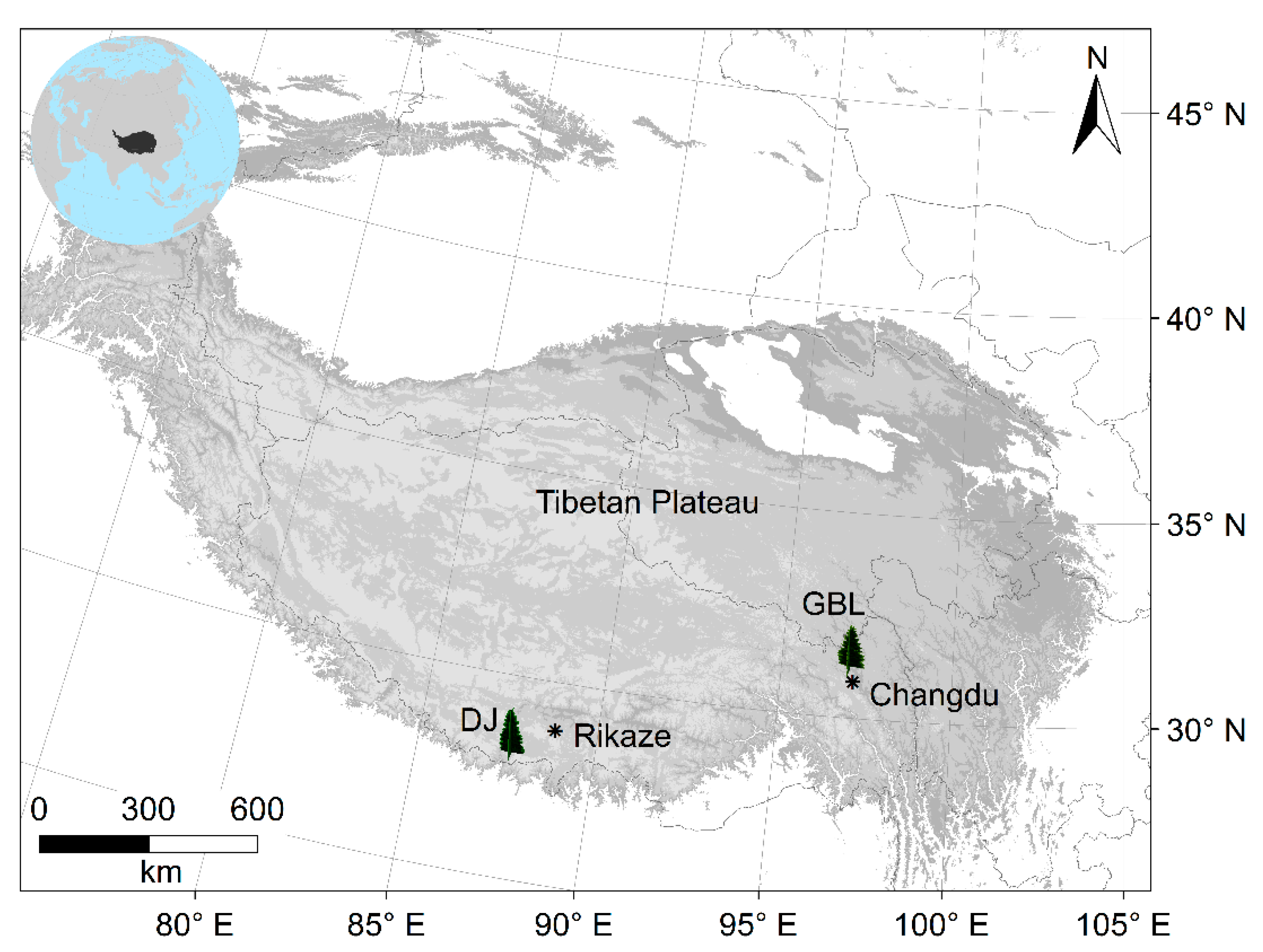 Forests 12 01702 g001