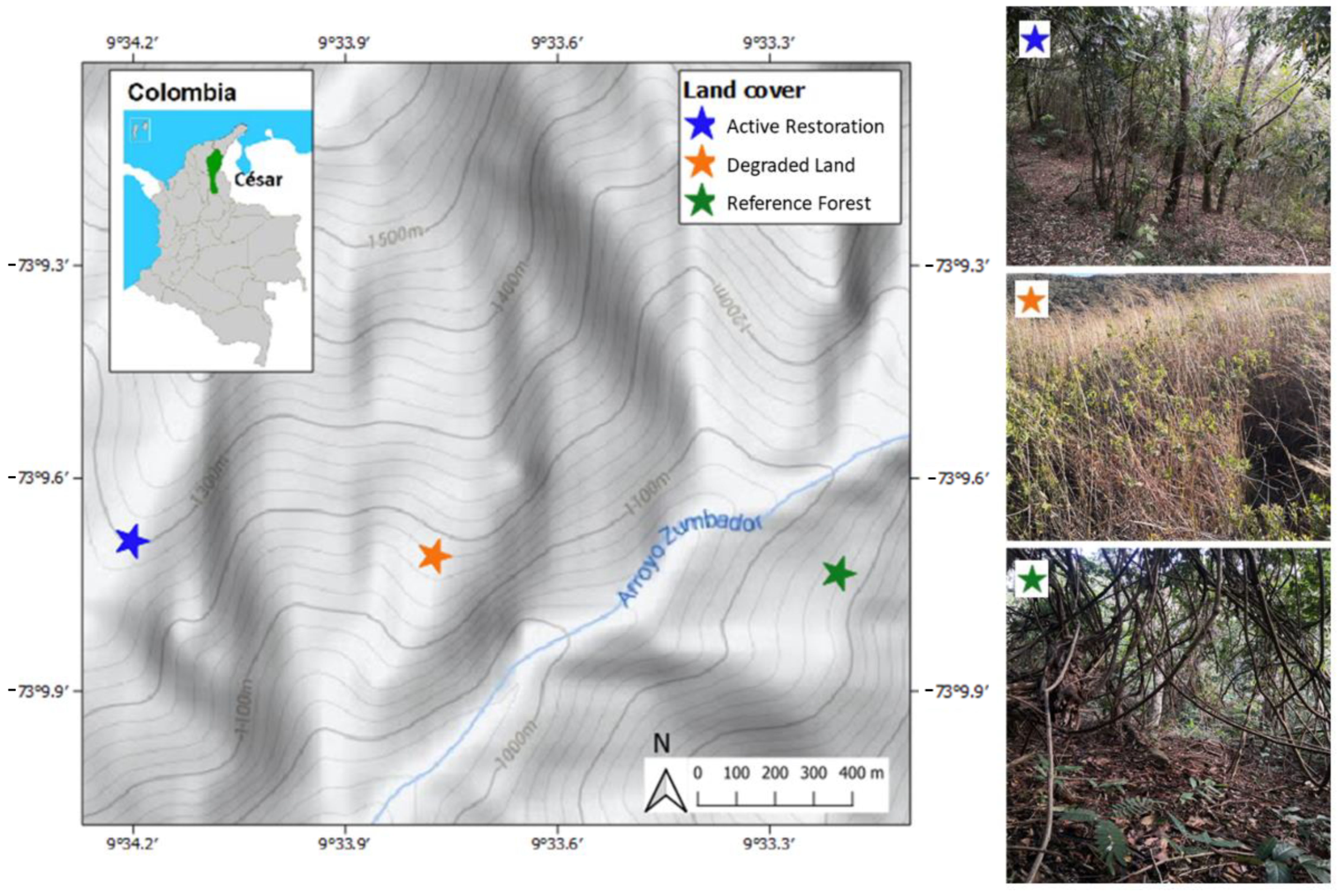 Forests | Free Full-Text | Contrasts in Top Soil Infiltration Processes for  Degraded vs. Restored Lands. A Case Study at the Perij&aacute; Range in  Colombia