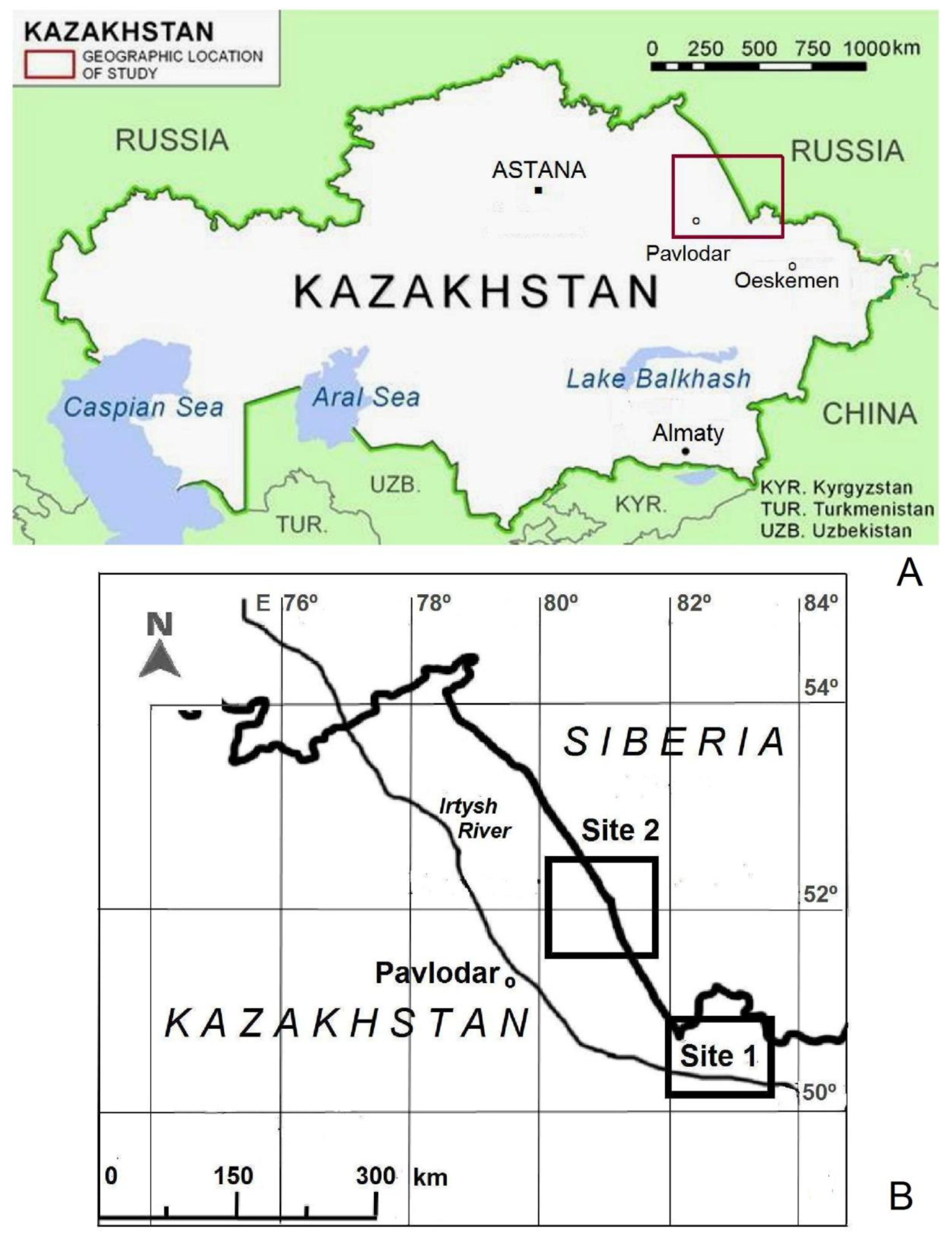 Forests | Free Full-Text | Environmental Dynamics of the Ribbon-Like Pine  Forests in the Parklands of North Kazakhstan