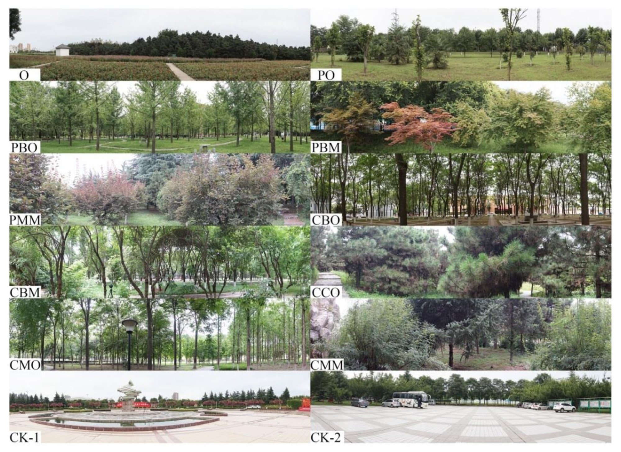 Forests 13 00014 g003