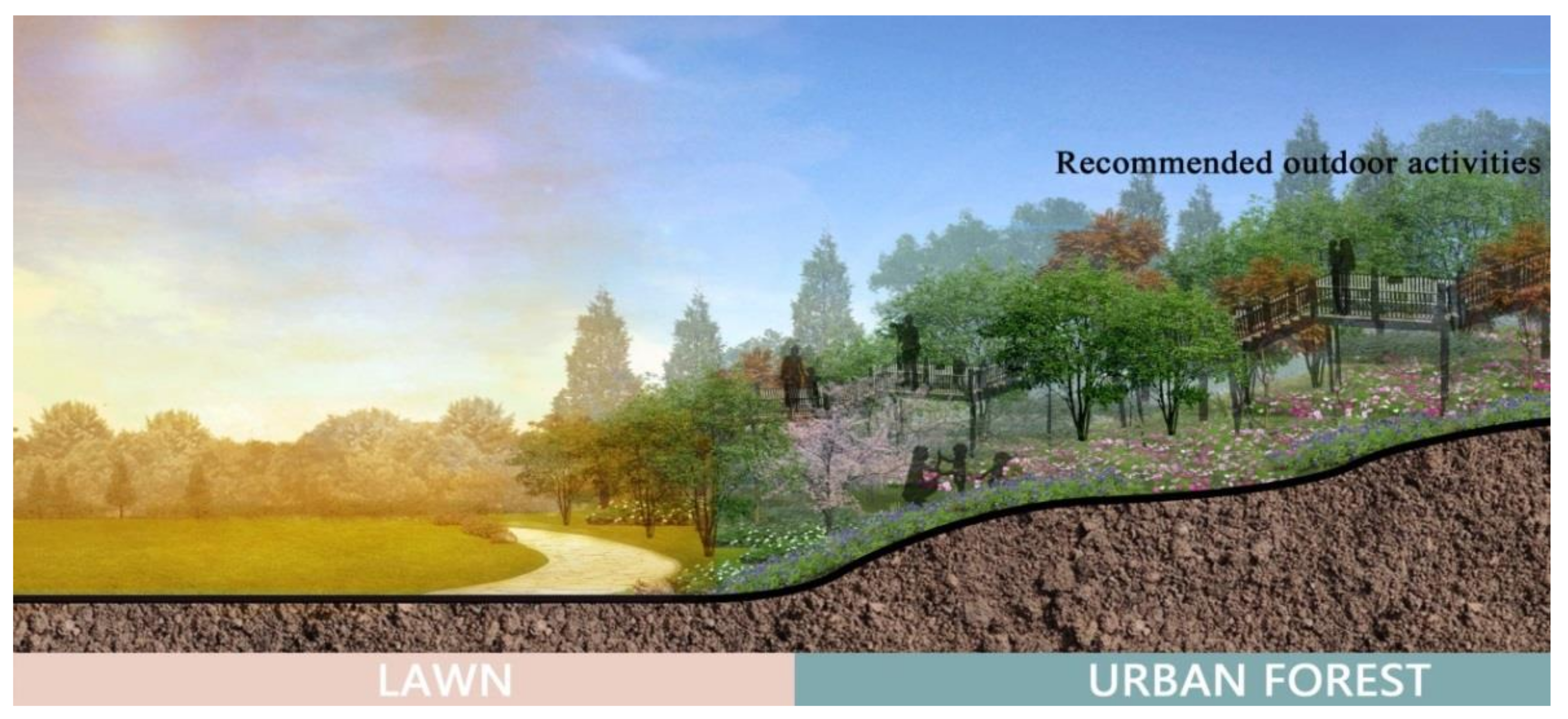 Forests | Free Full-Text | Differences in Airborne Particulate Matter  Concentration in Urban Green Spaces with Different Spatial Structures in  Xi&rsquo;an, China