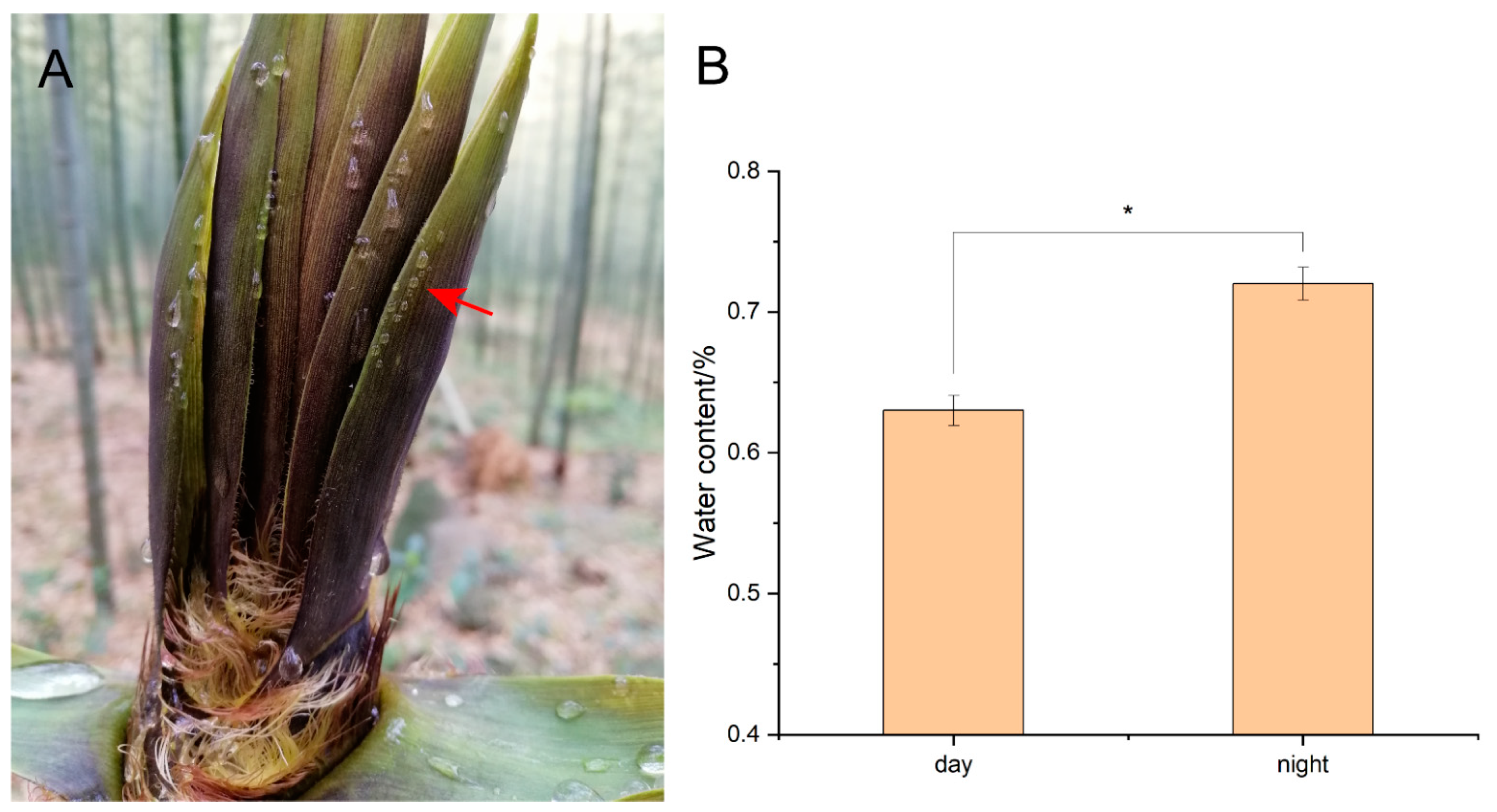 Forests 13 00031 g002