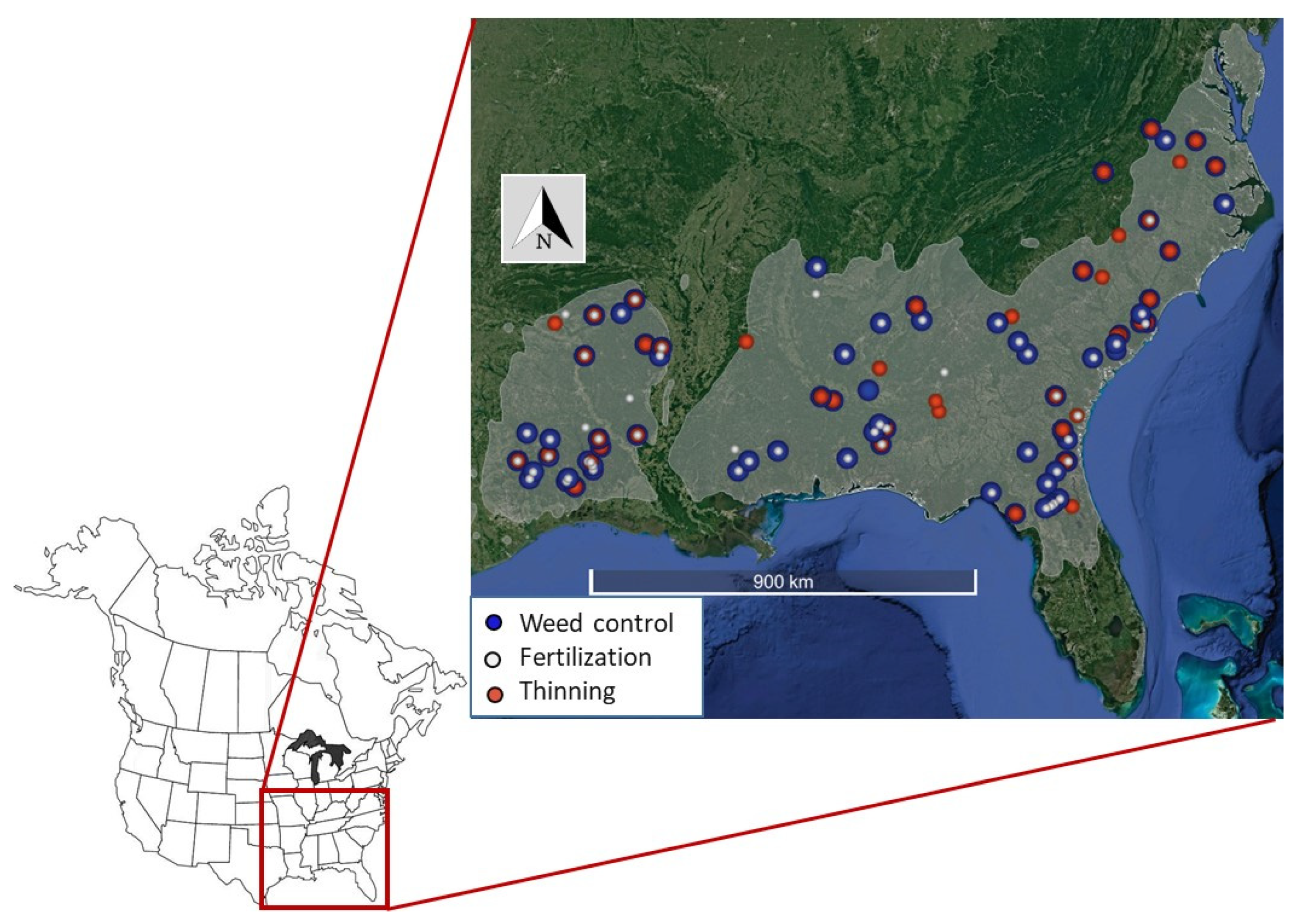 Forests 13 00036 g001
