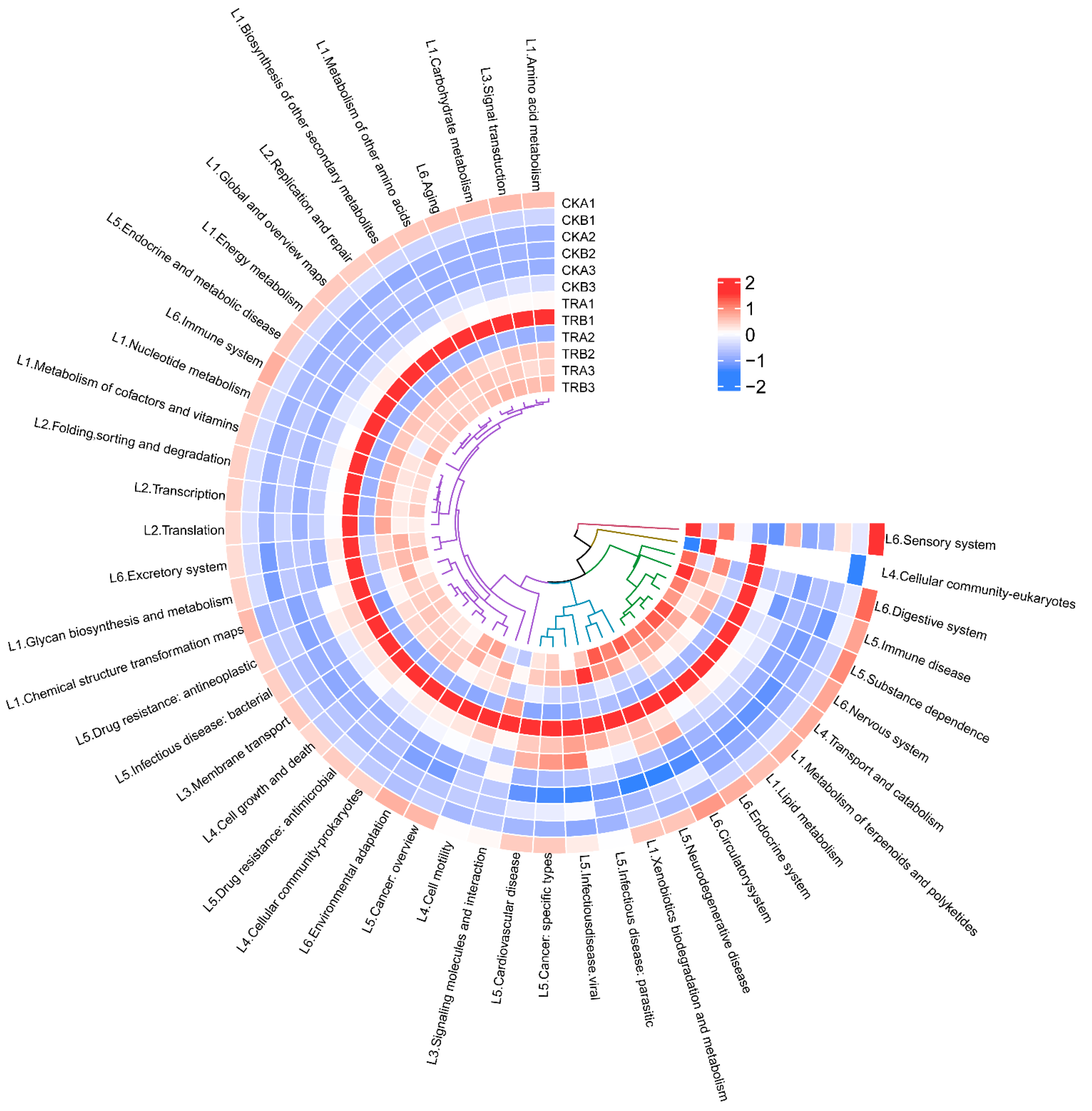 Forests 13 00037 g006