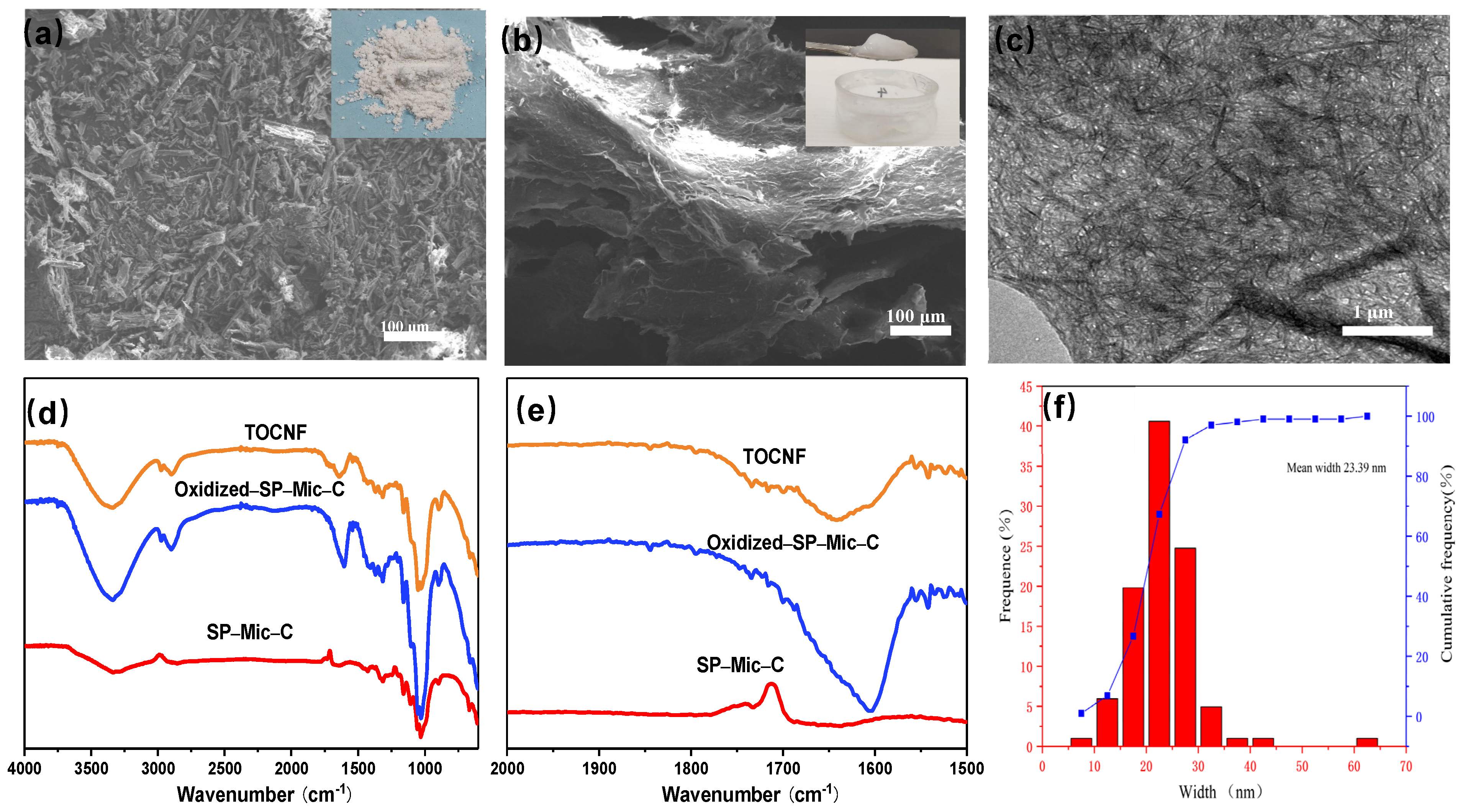 Forests 13 00061 g001