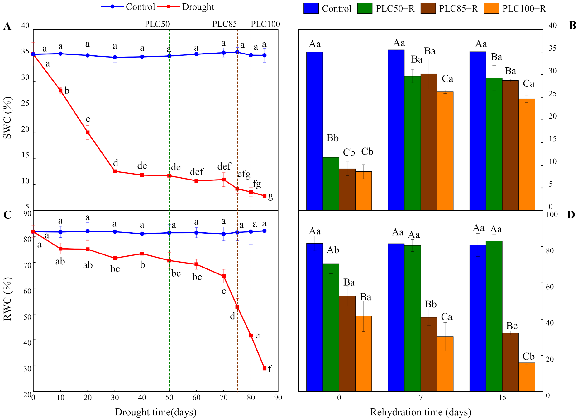 Forests 13 00065 g001