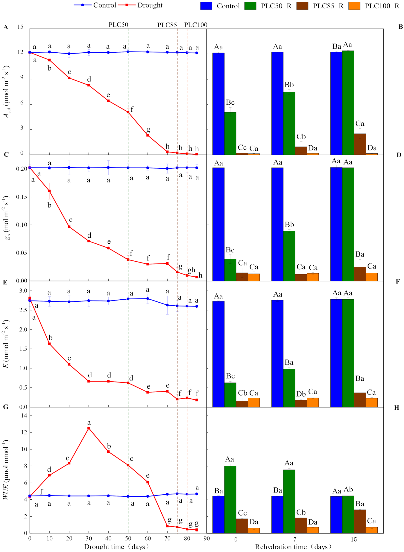 Forests 13 00065 g002