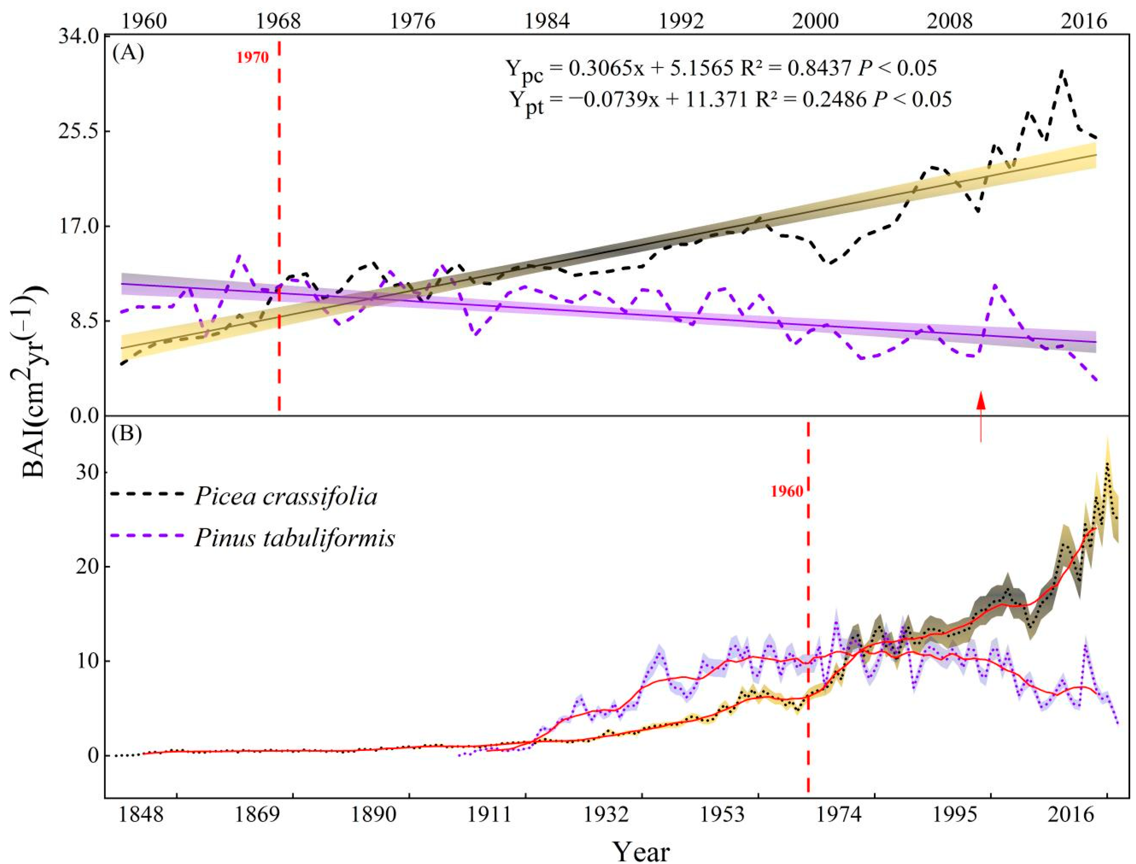 Forests 13 00072 g008 Forests 13 00072 g008