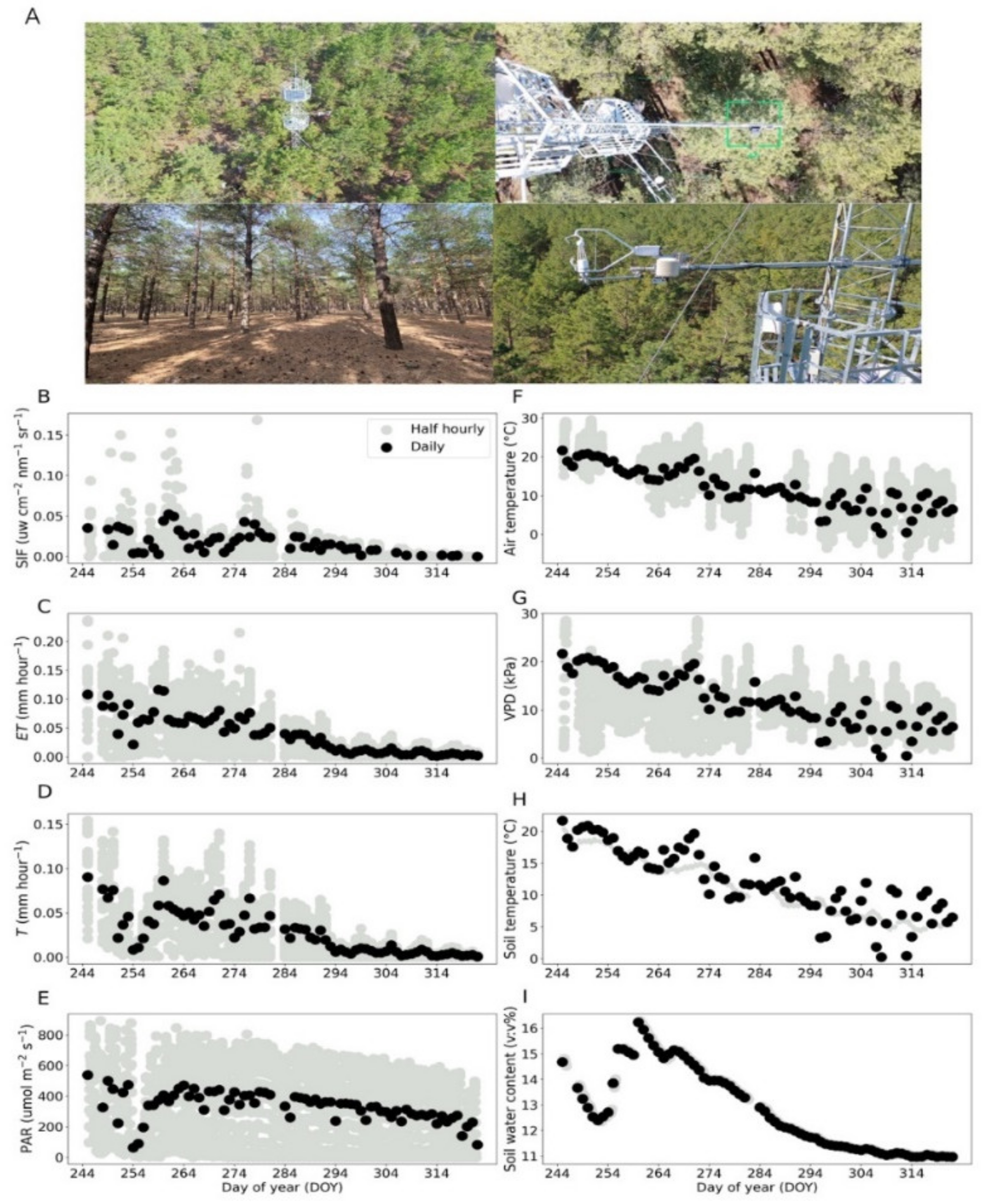 Forests 13 00074 g001