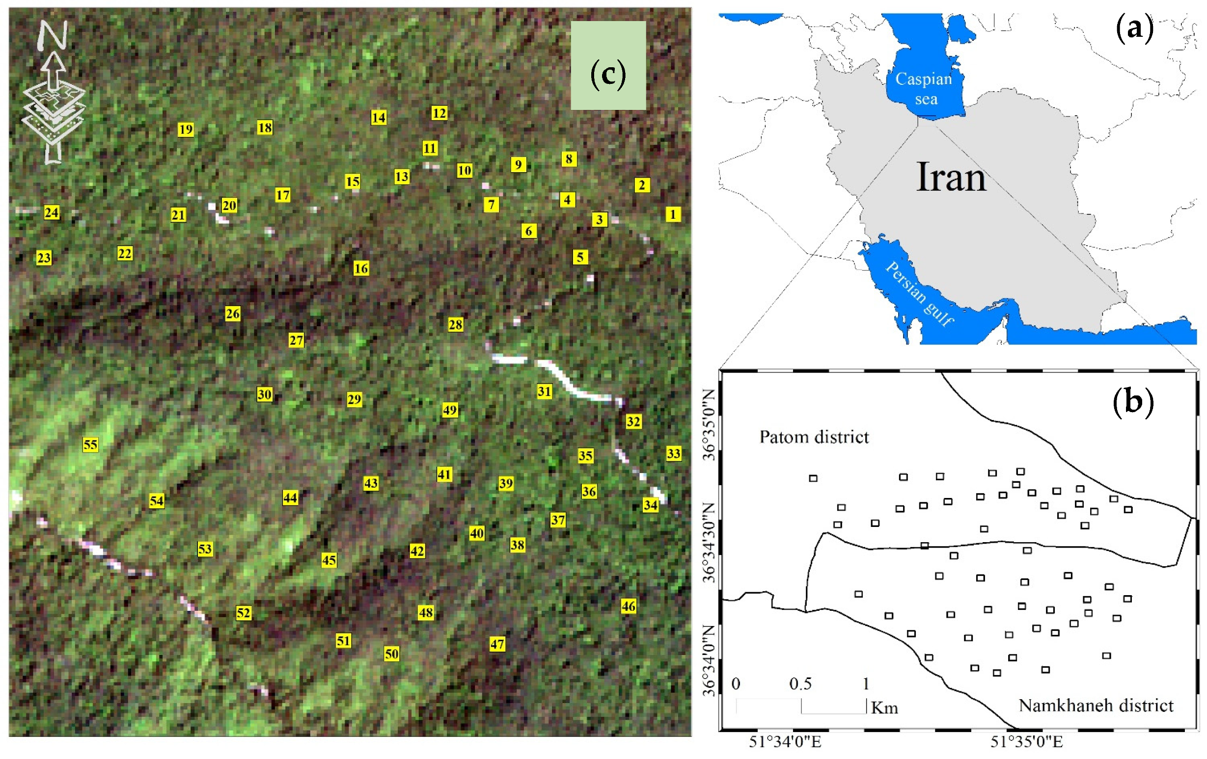 Forests 13 00104 g0a1 Forests 13 00104 g0a1