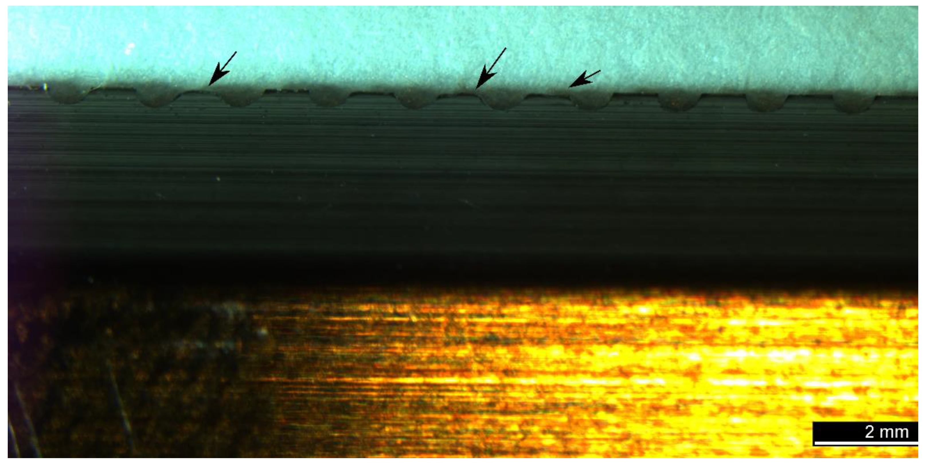 Forests 13 00113 g008