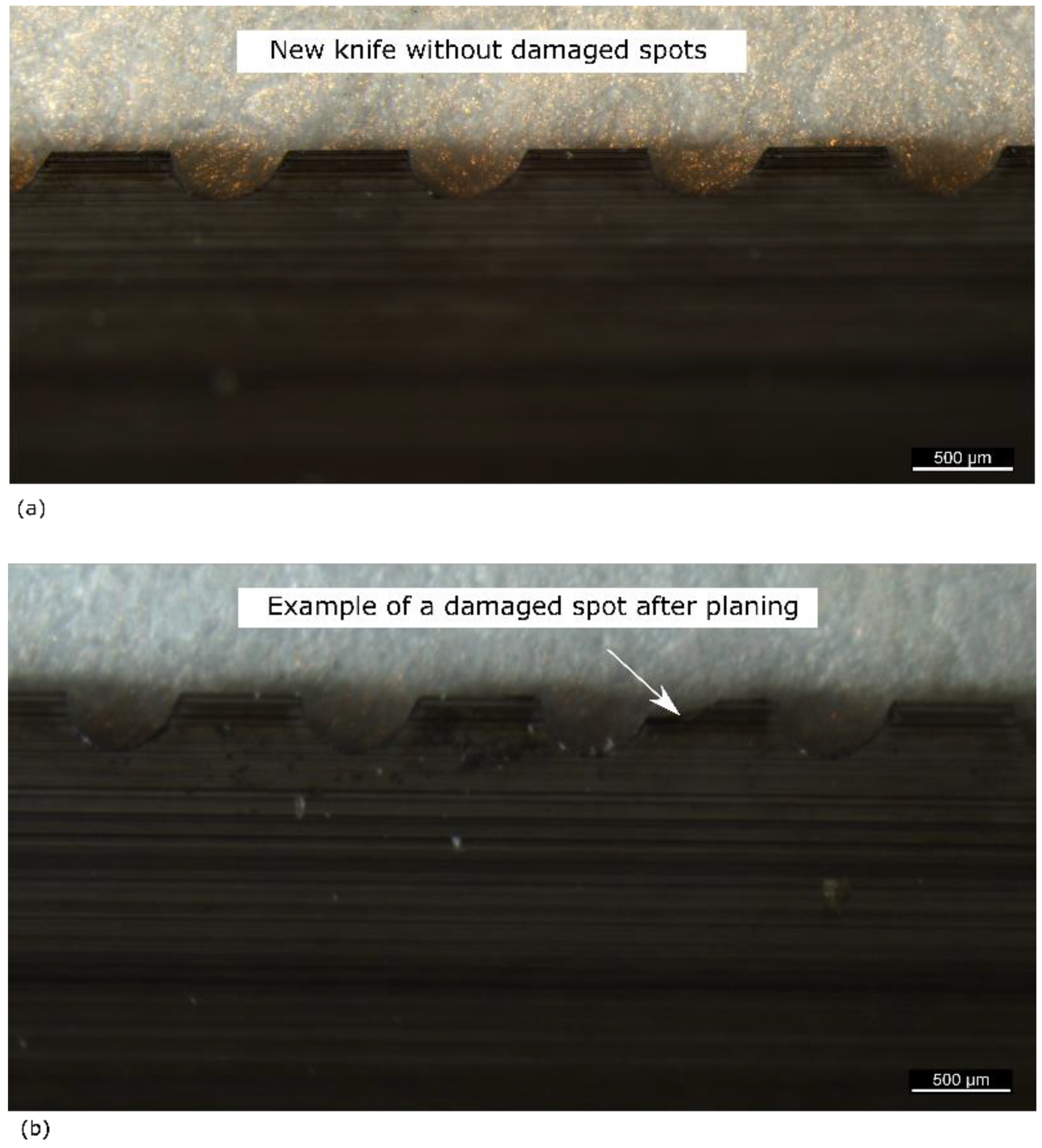 Forests 13 00113 g009