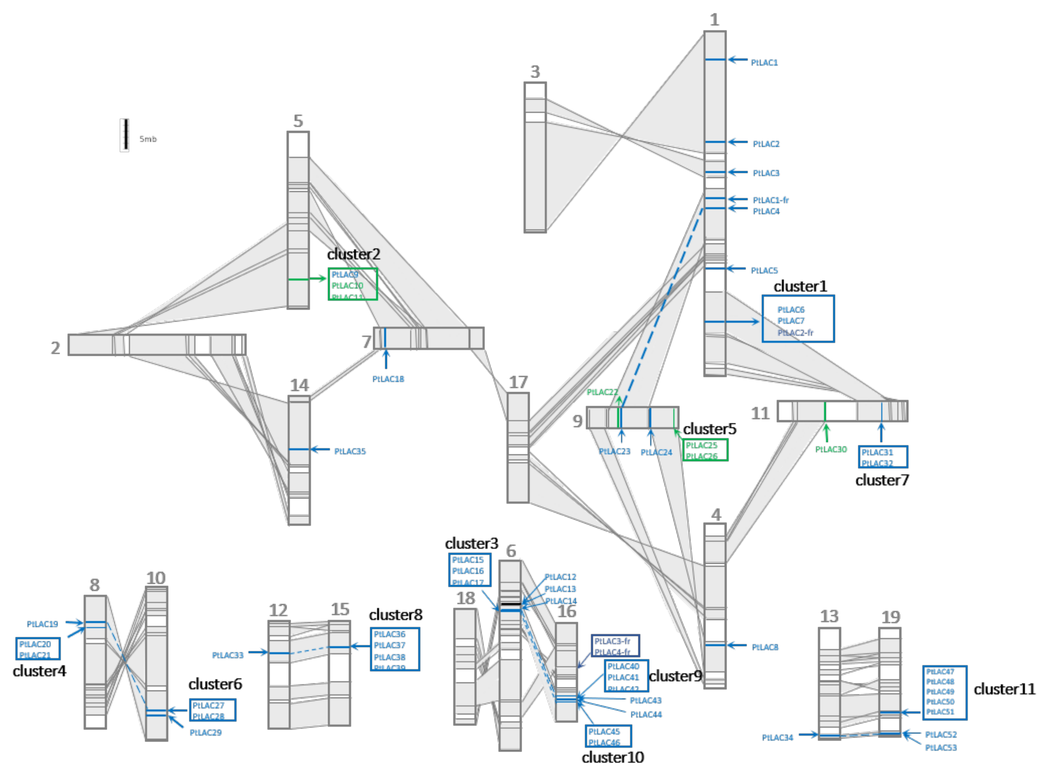 Forests 13 00157 g002