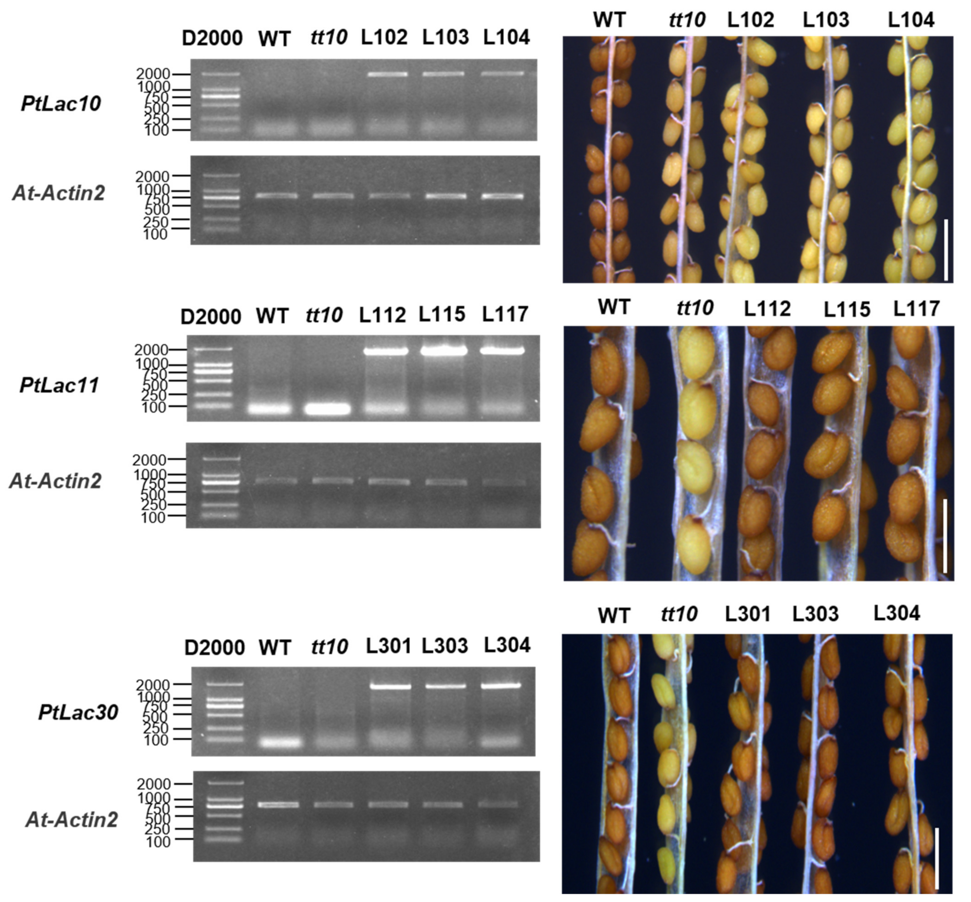 Forests 13 00157 g007