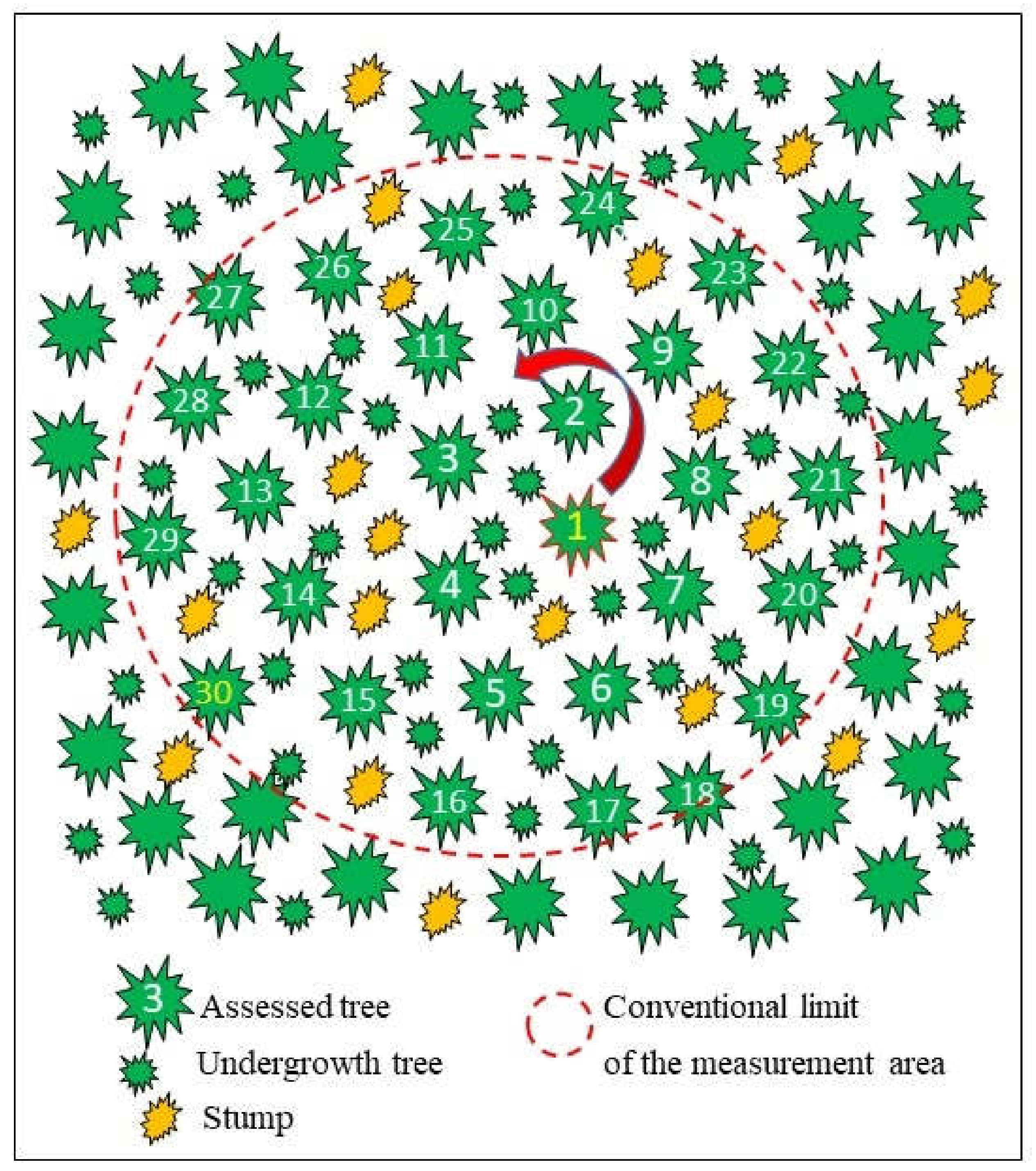 Forests 13 00229 g002