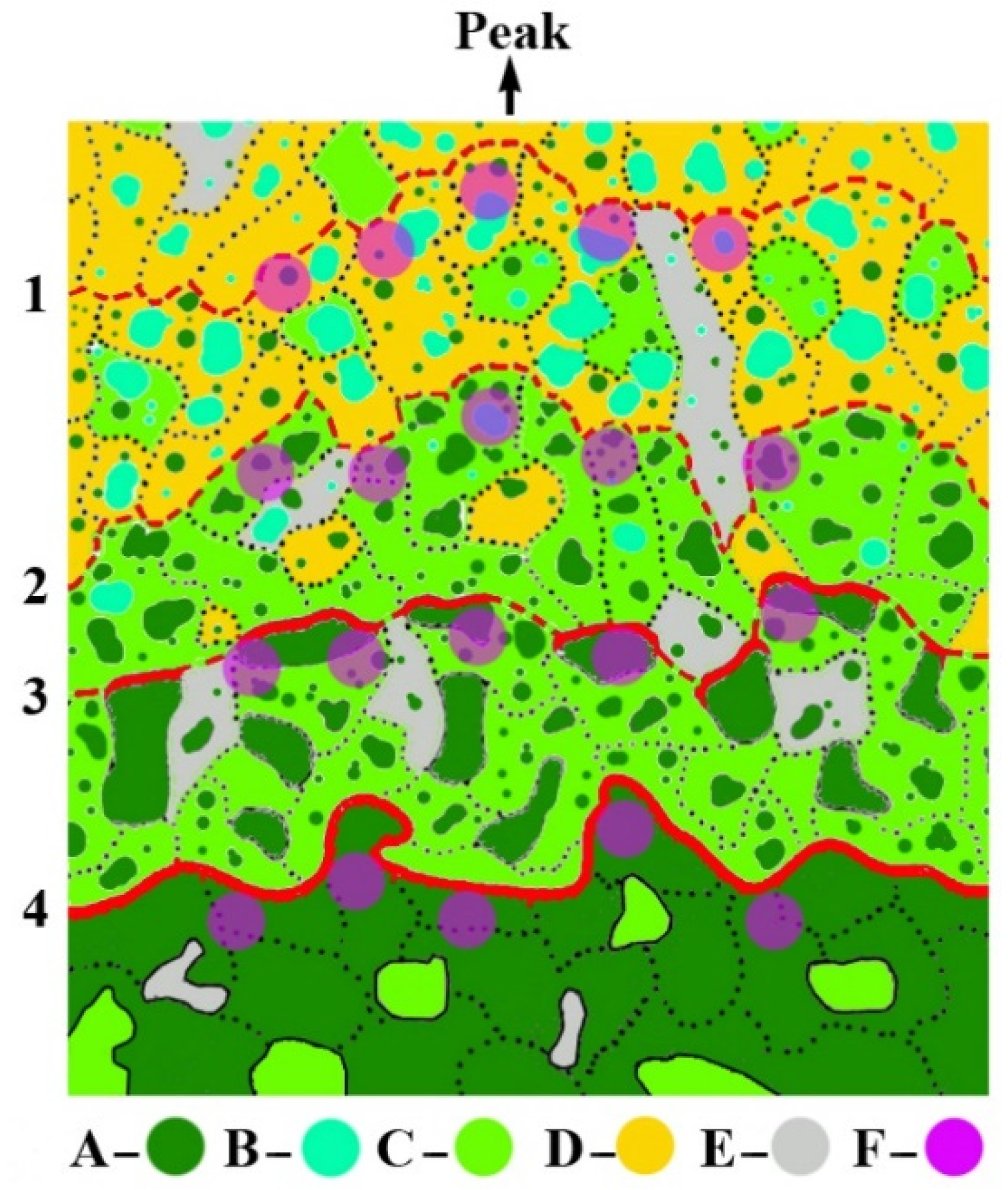 Forests 13 00254 g003