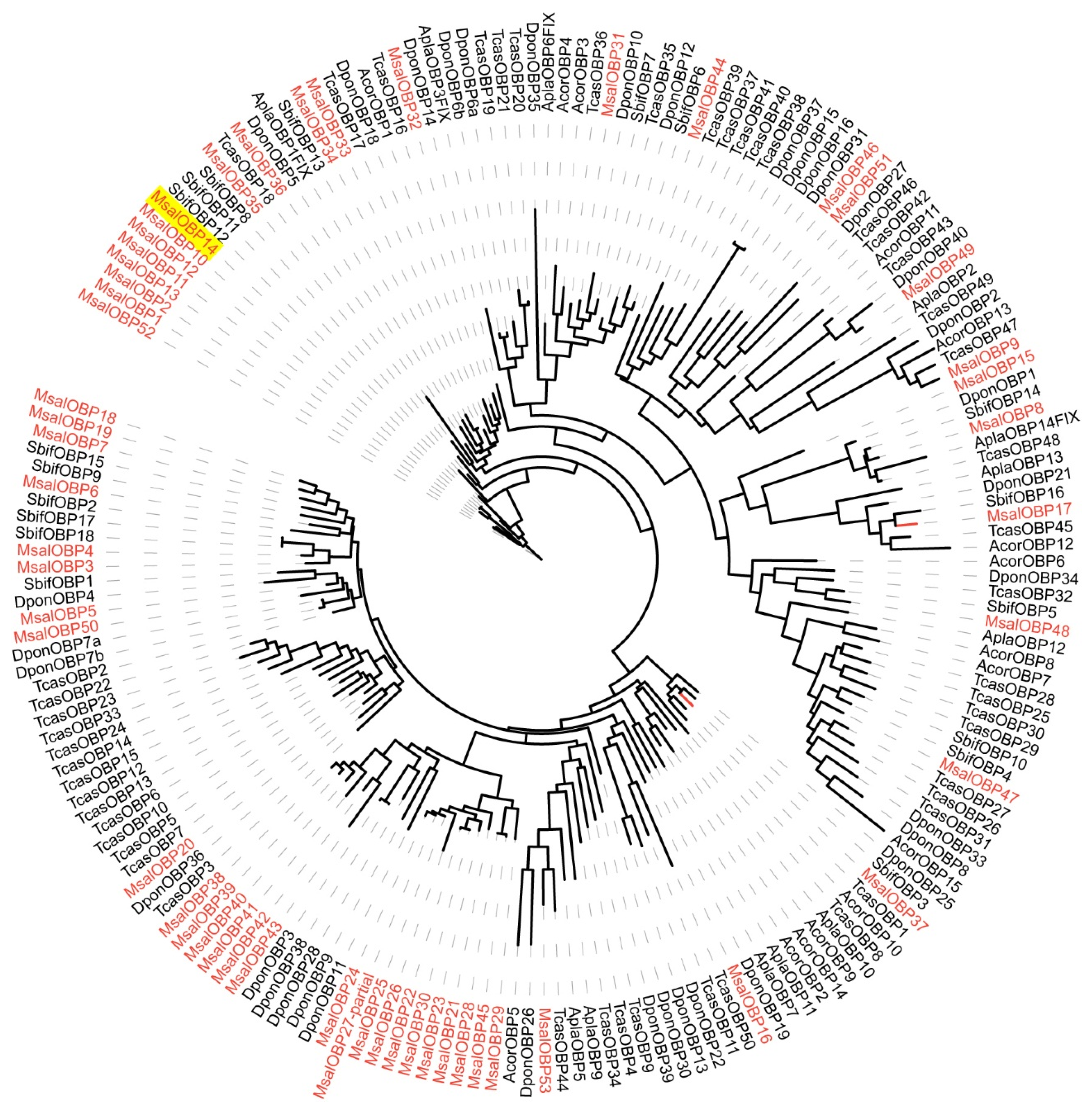 Forests 13 00258 g002