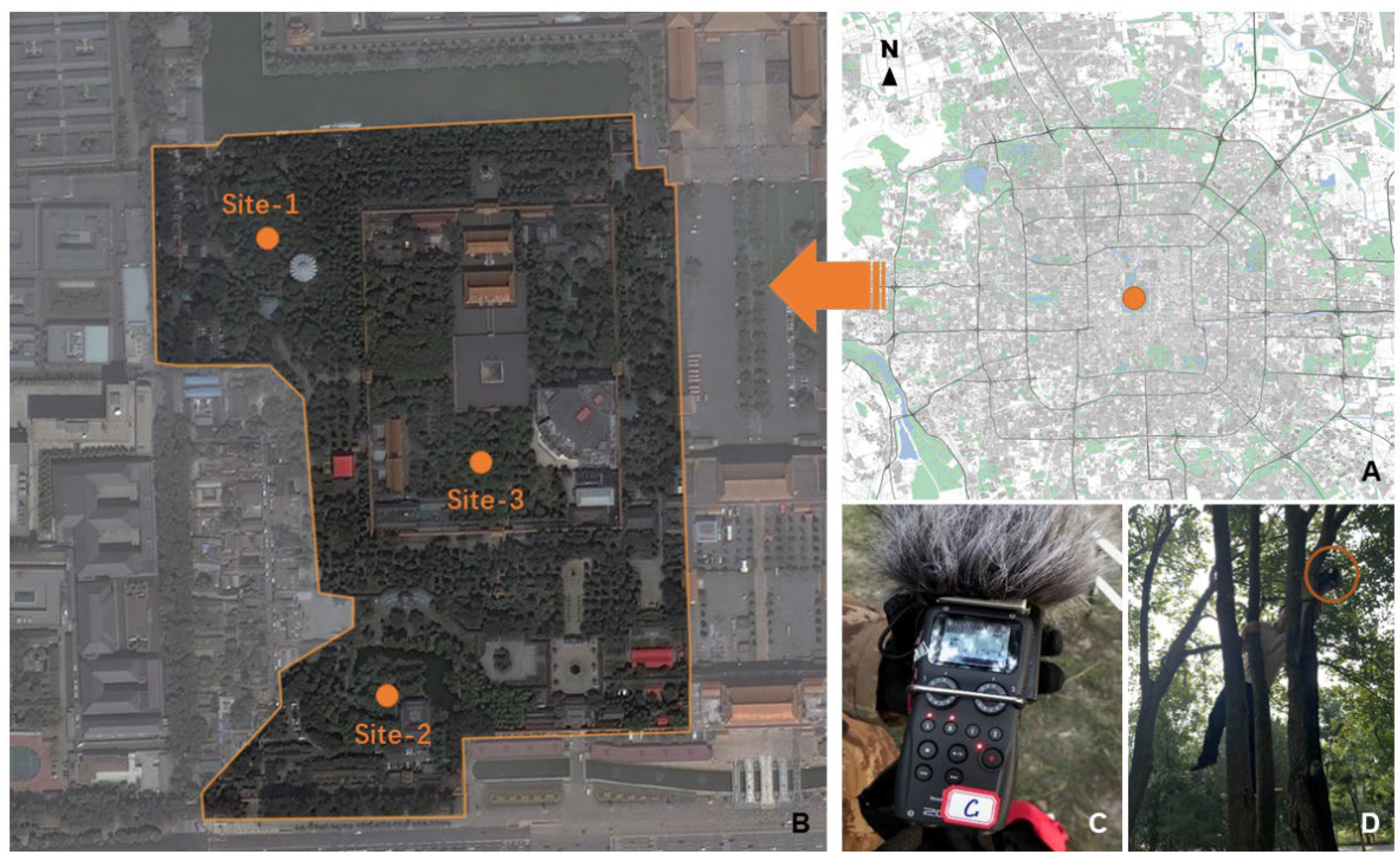 Forests | Free Full-Text | Diversity Monitoring of Coexisting