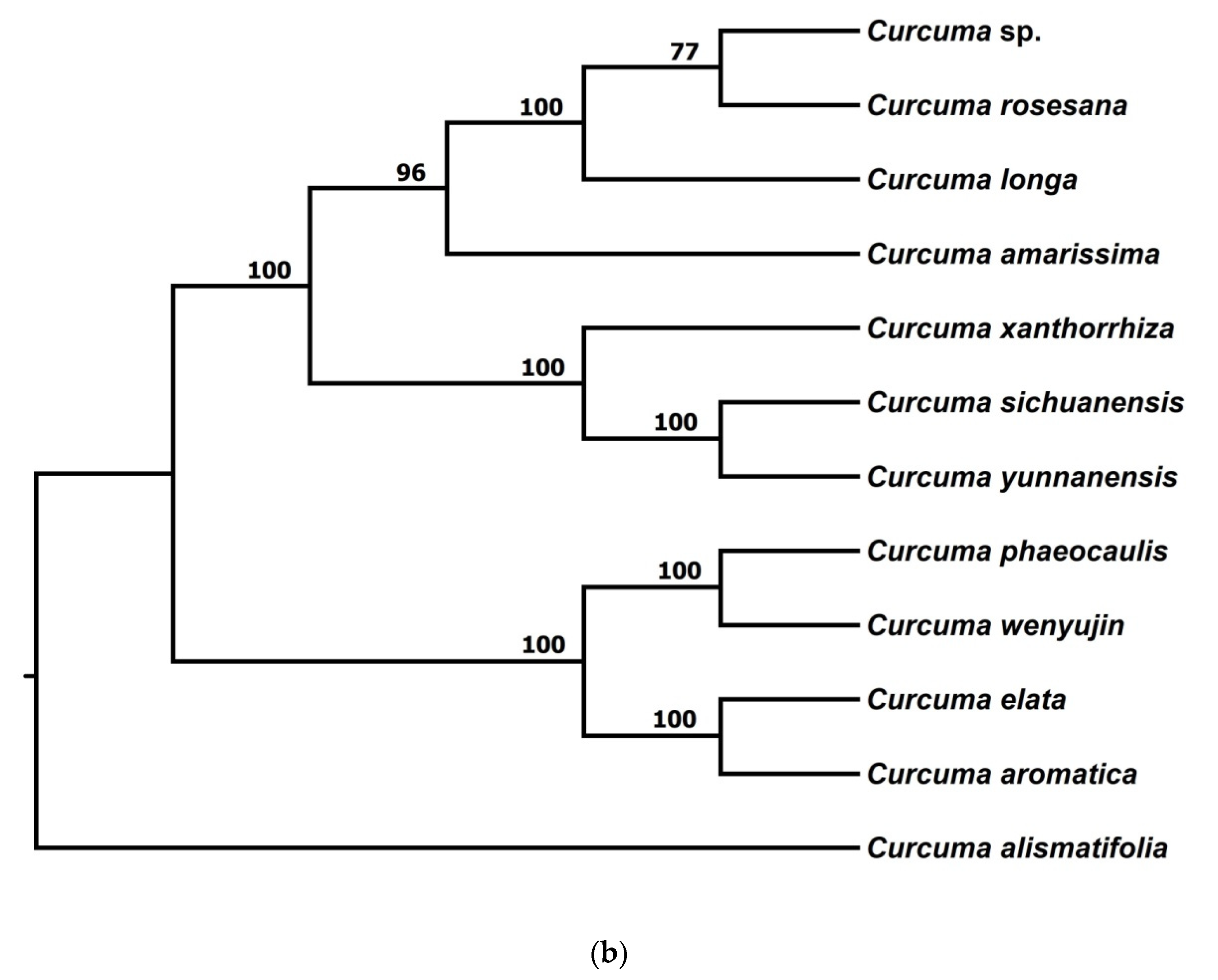 Forests 13 00280 g003b