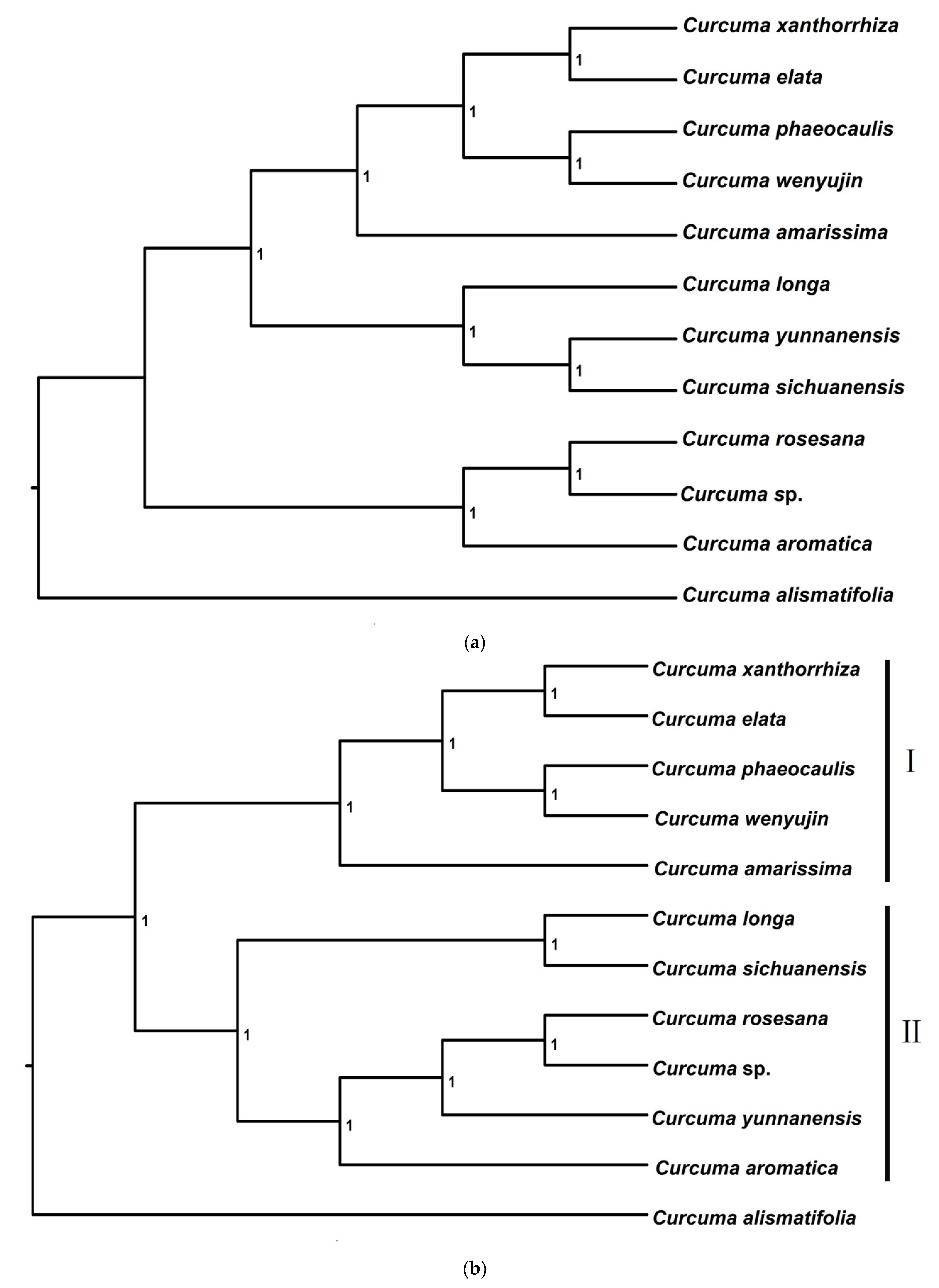 Forests 13 00280 g004a