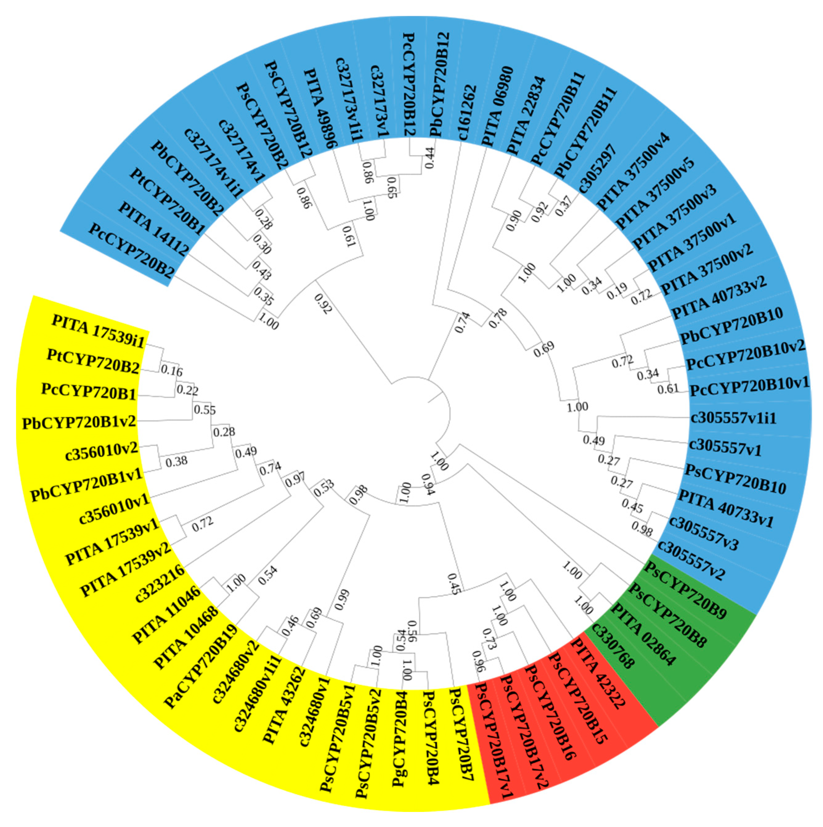 Forests 13 00283 g001