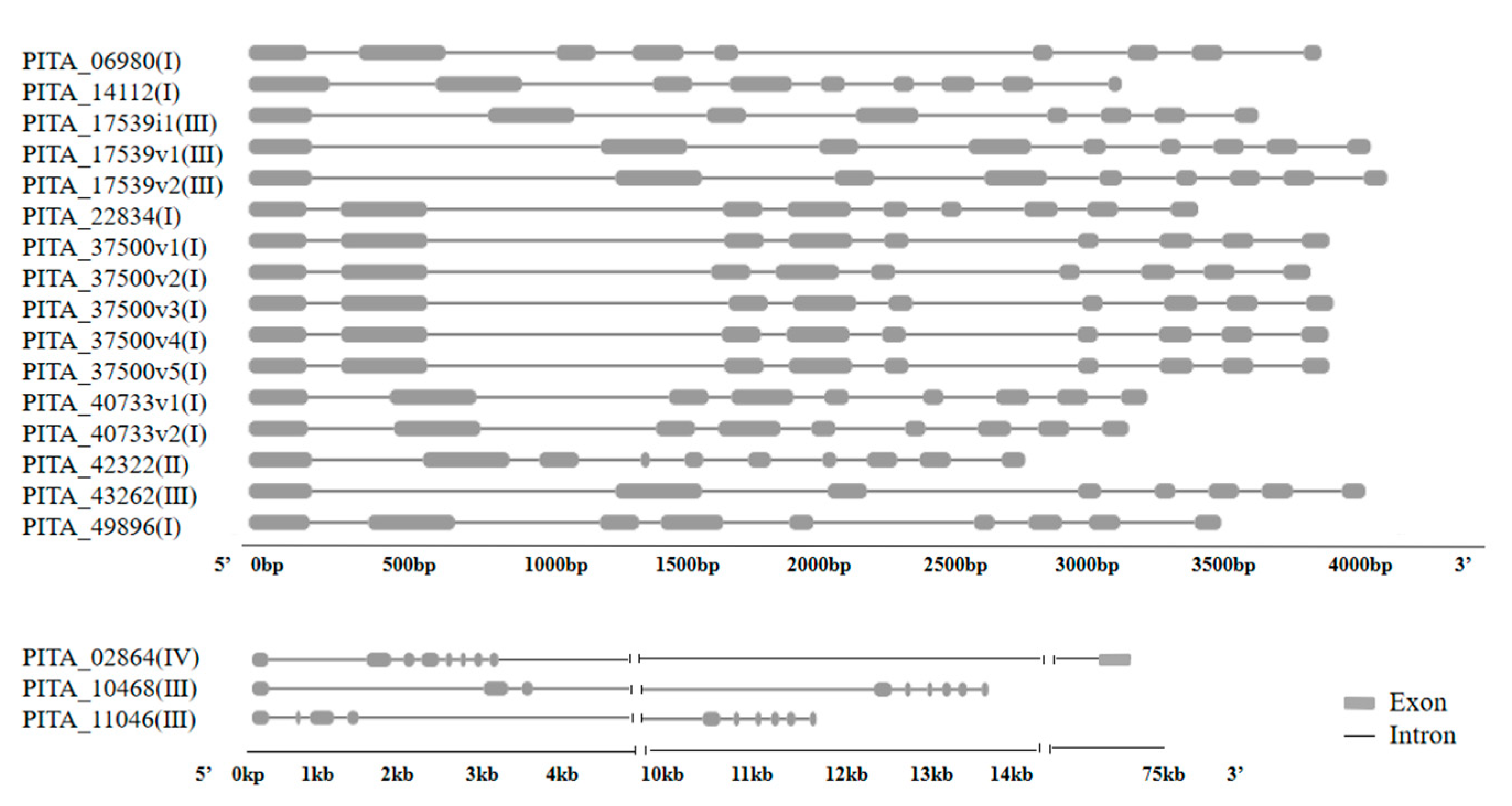 Forests 13 00283 g002